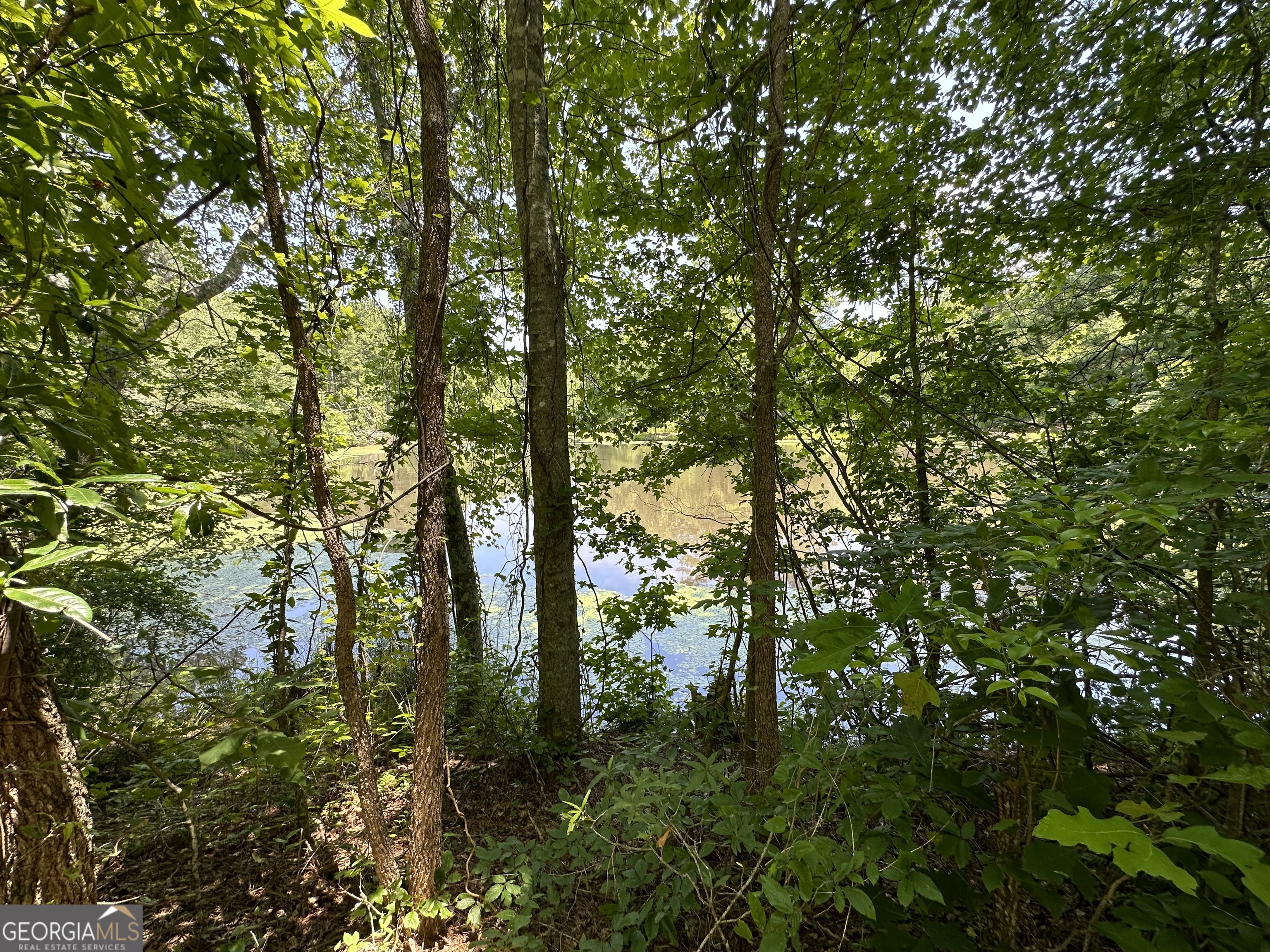 0 Rocky Point Road Property Photo 14