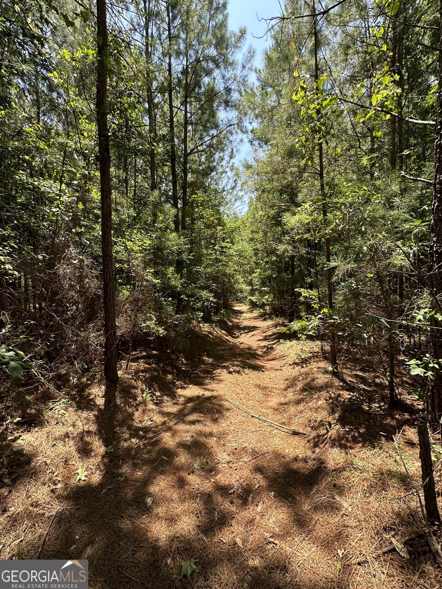 0 Rocky Point Road Property Photo 18