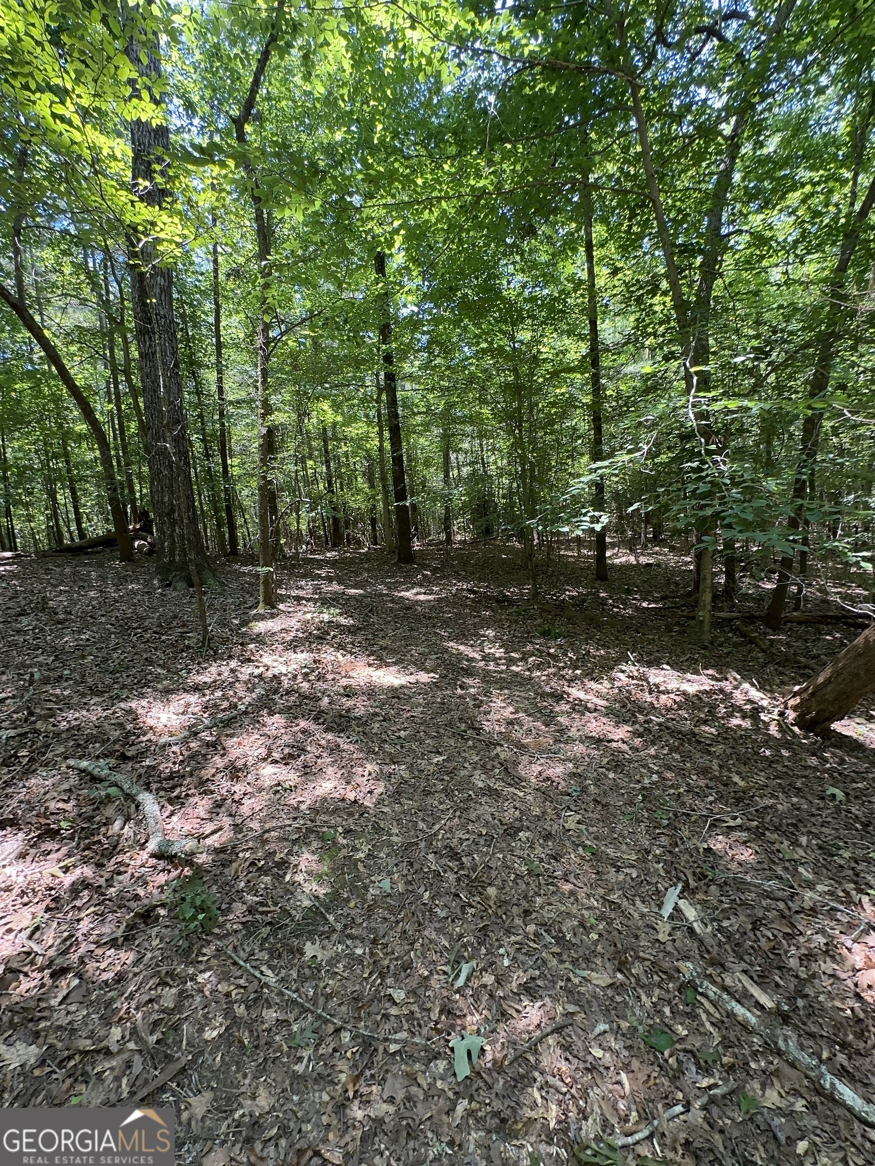 0 Rocky Point Road Property Photo 20