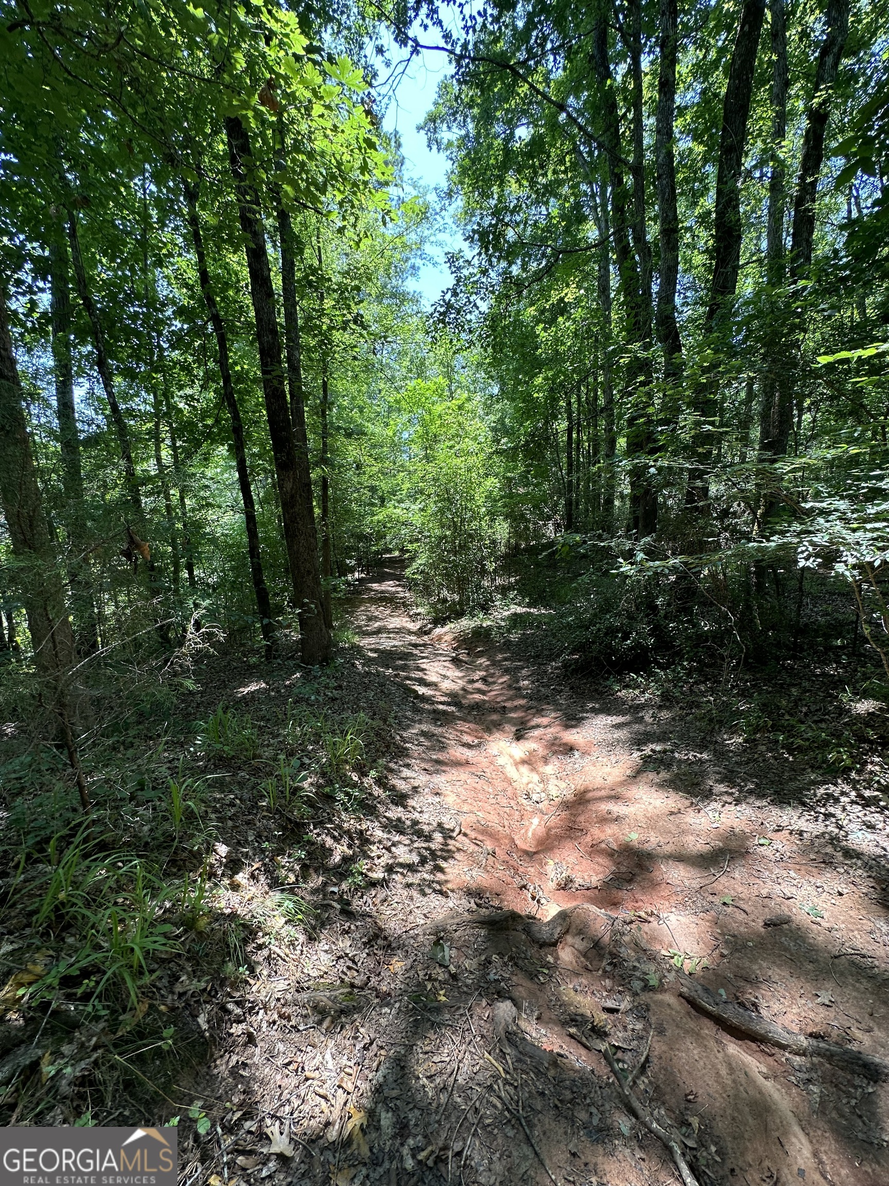 0 Rocky Point Road Property Photo 21