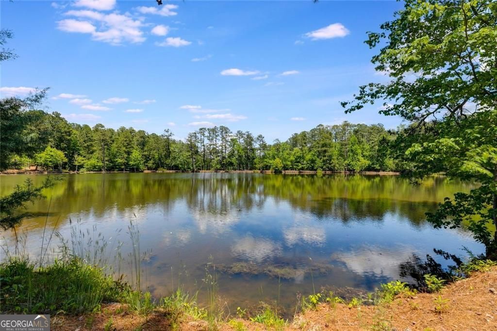 110 Pond View Point Property Photo 69