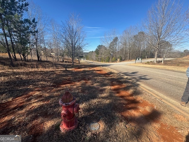 1541 Currahee Club Drive Property Photo 1
