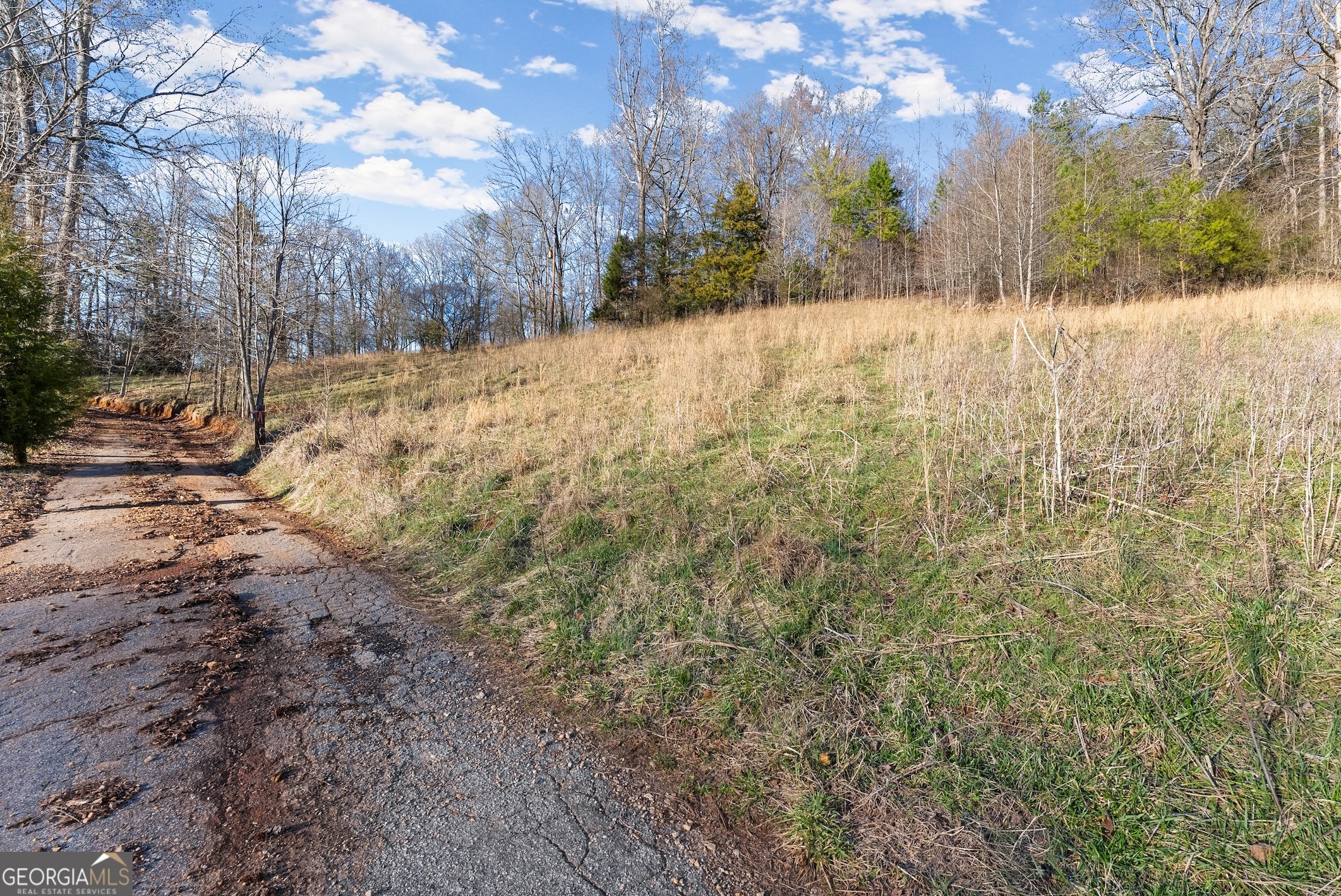 4208 Simpson Road Property Photo 2