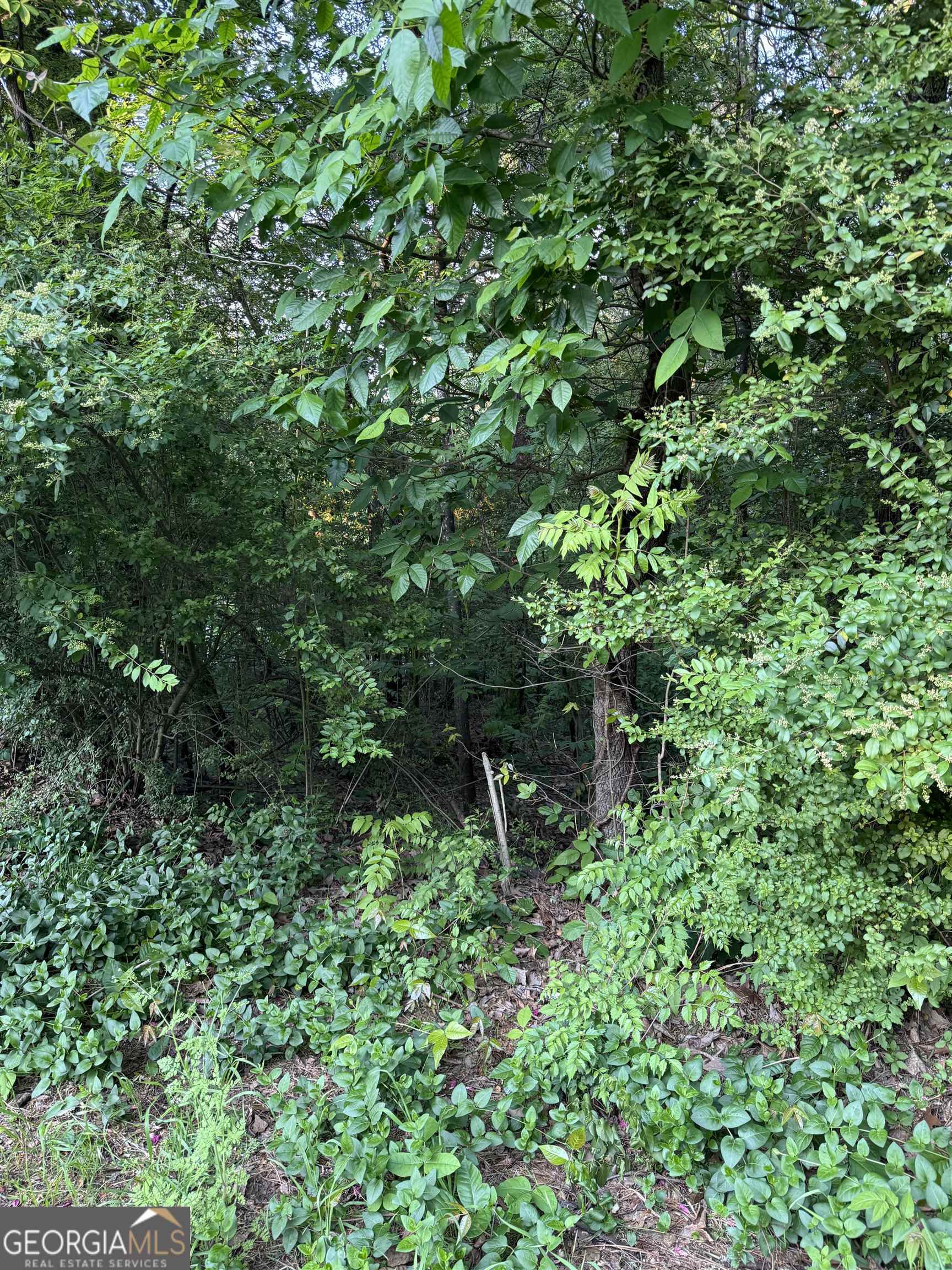 0 Wellington Way Property Photo 2