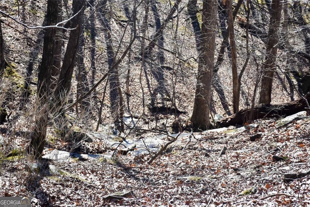 716 Moss Patch Trail Property Photo 25