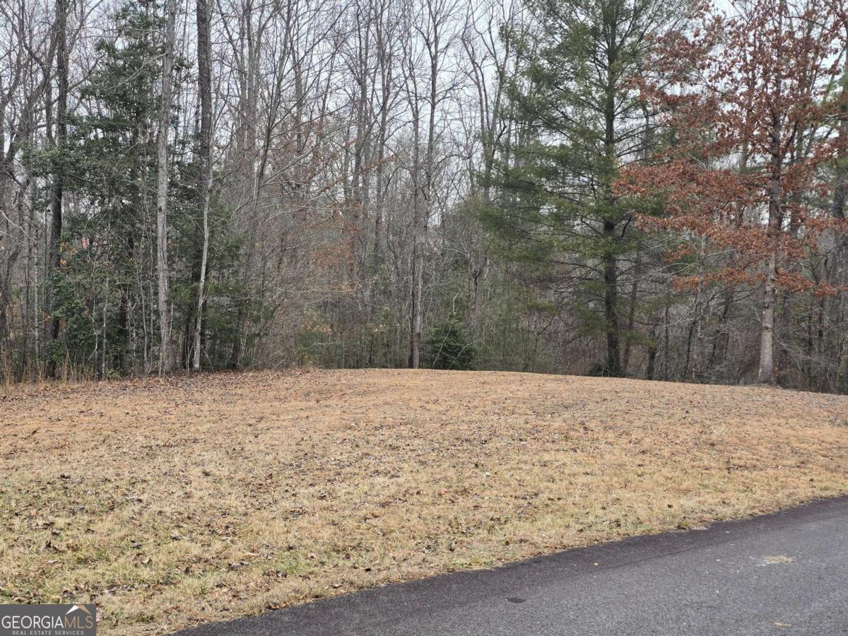 LOT 32 Ridges At Mill Creek