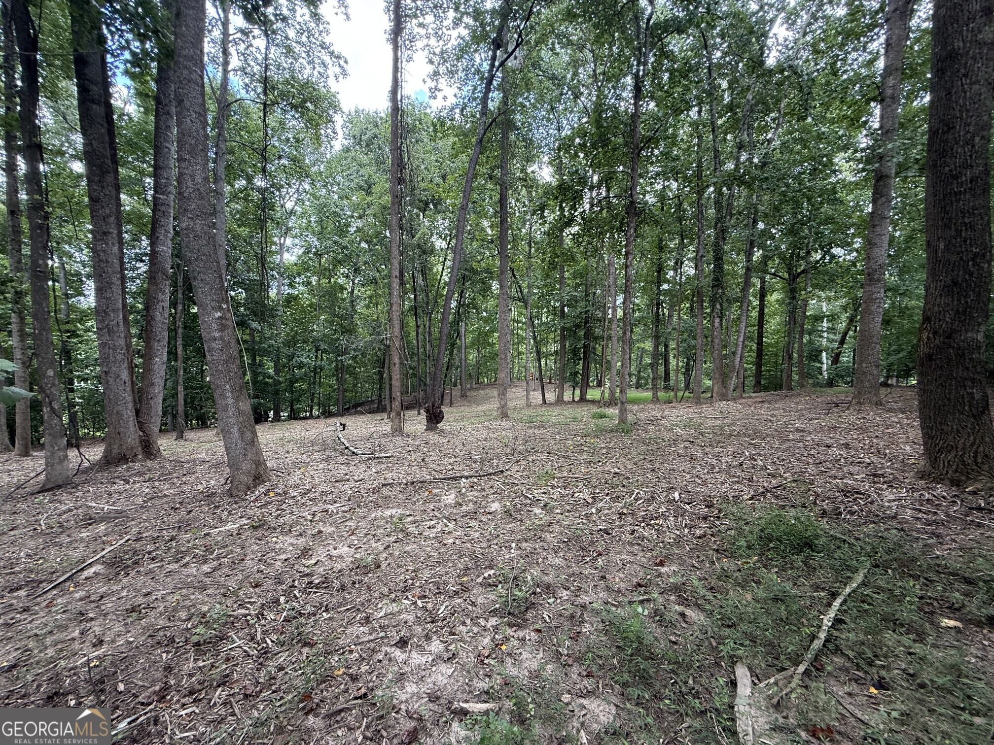 0 Bailey Mill Road Property Photo 1