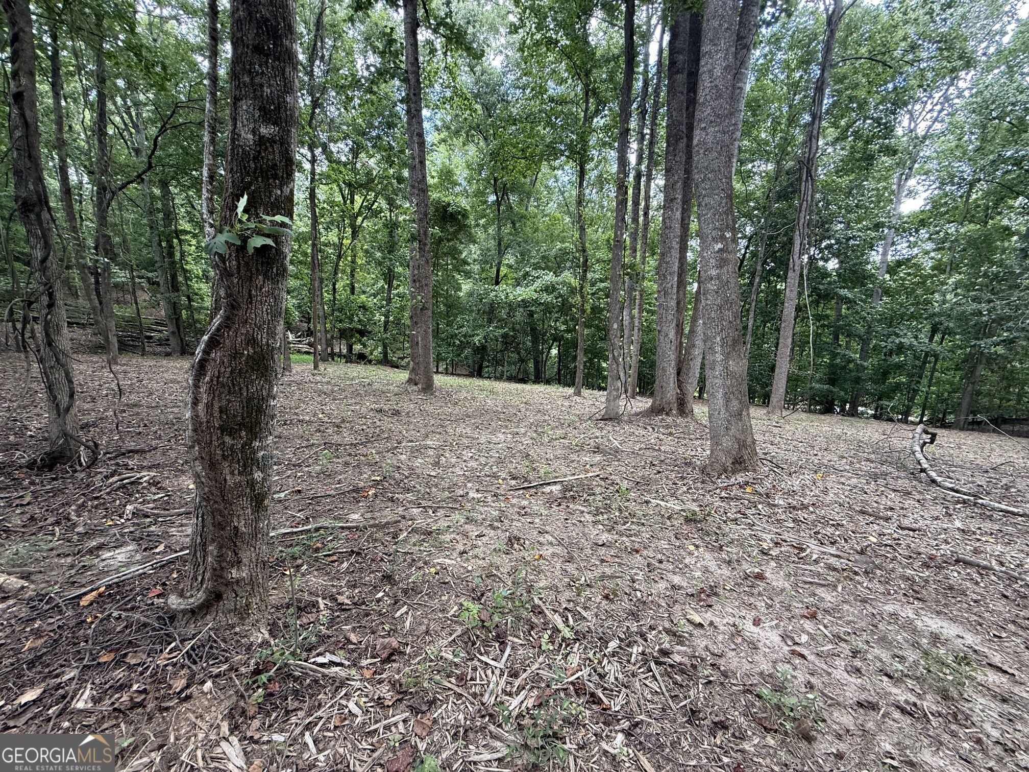 0 Bailey Mill Road Property Photo 2
