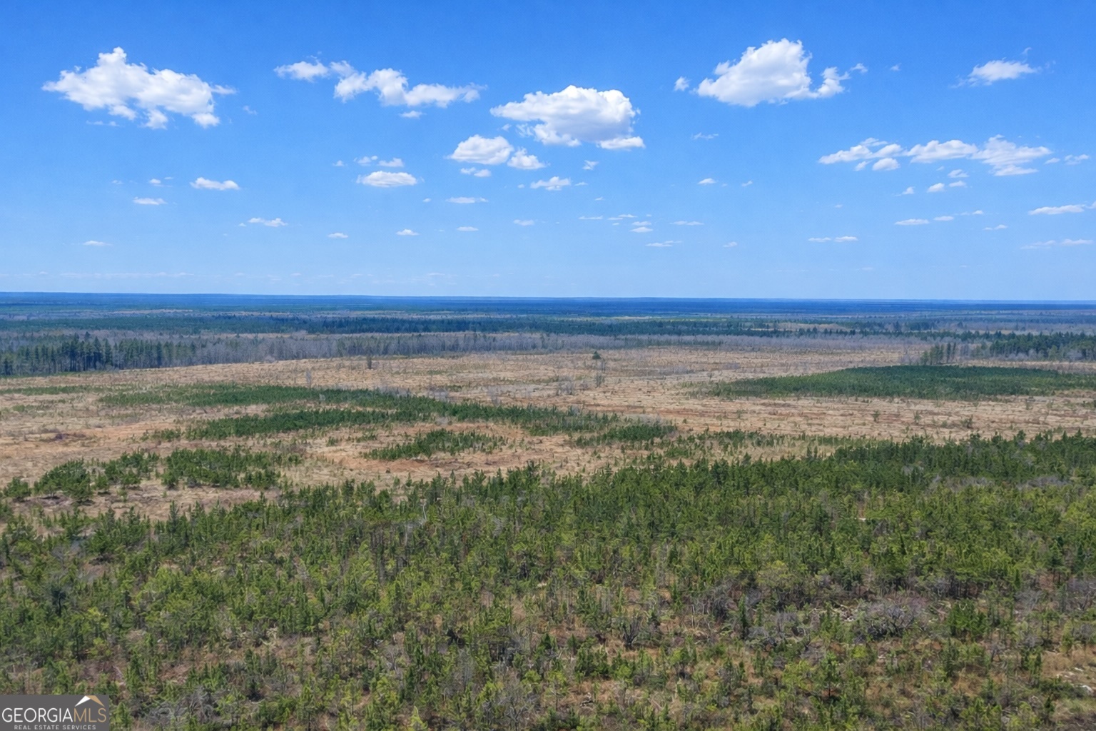 0 Highway 121 Property Photo 3