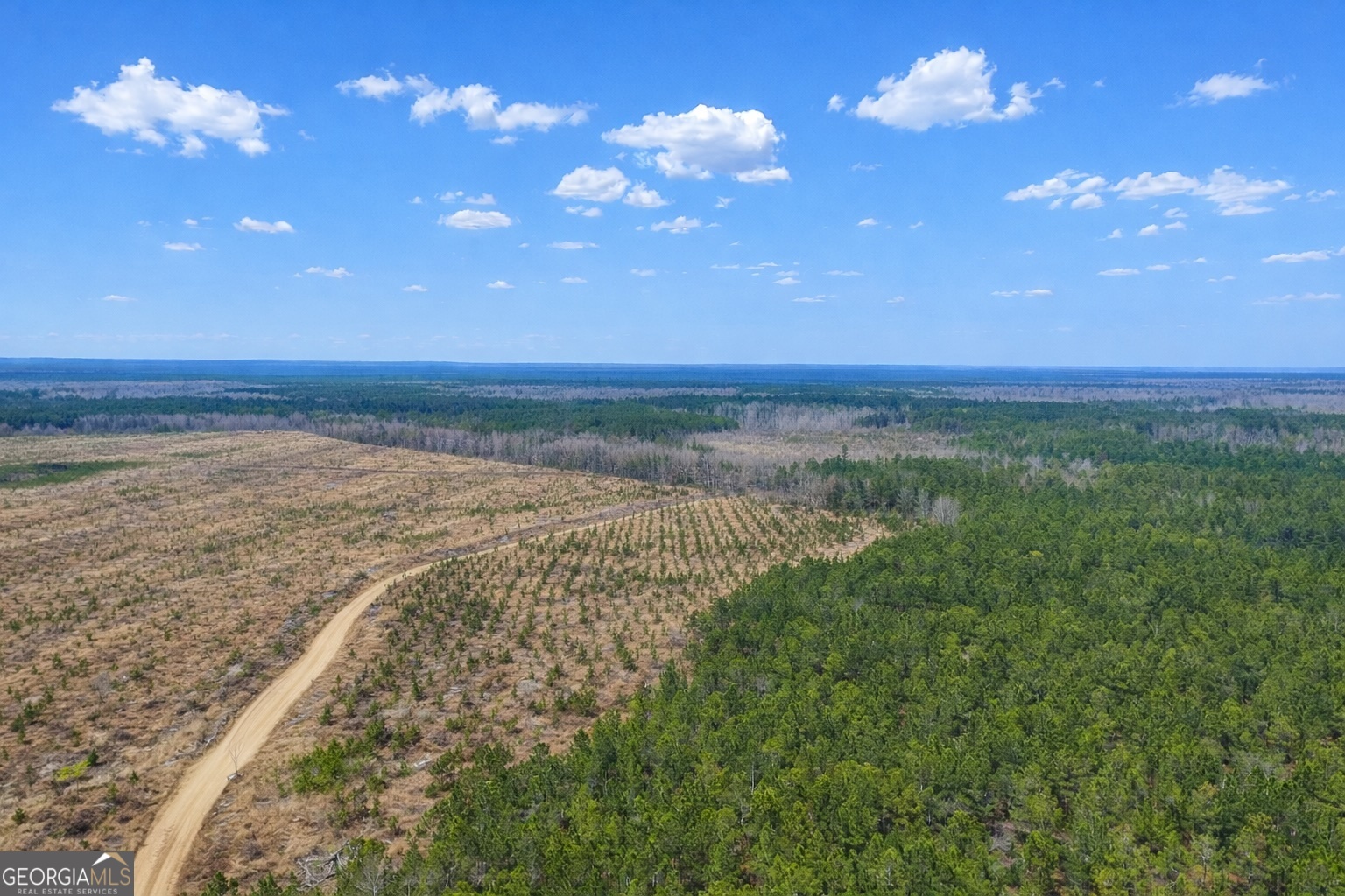 0 Highway 121 Property Photo 4