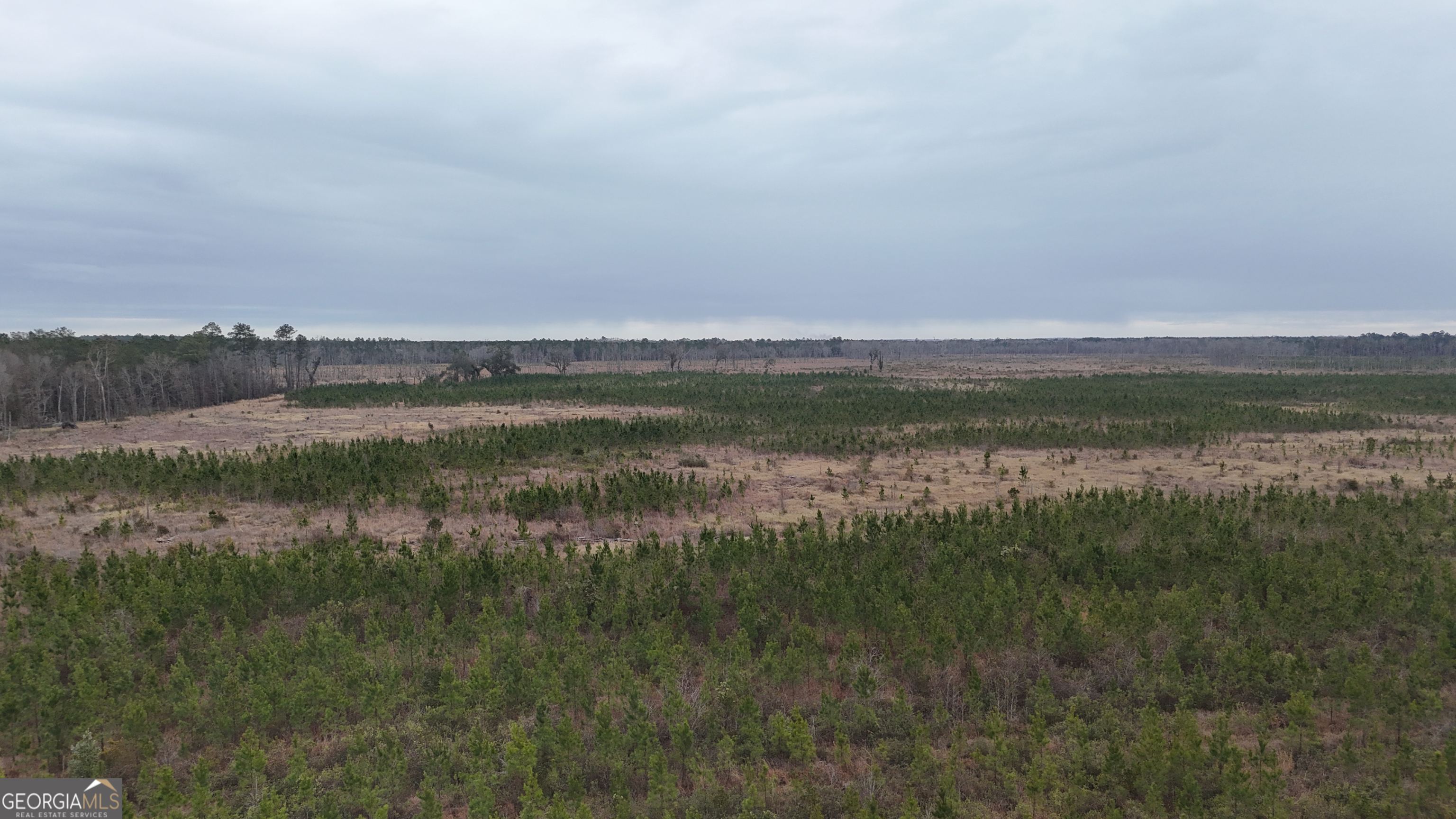 0 Highway 121 Property Photo 7