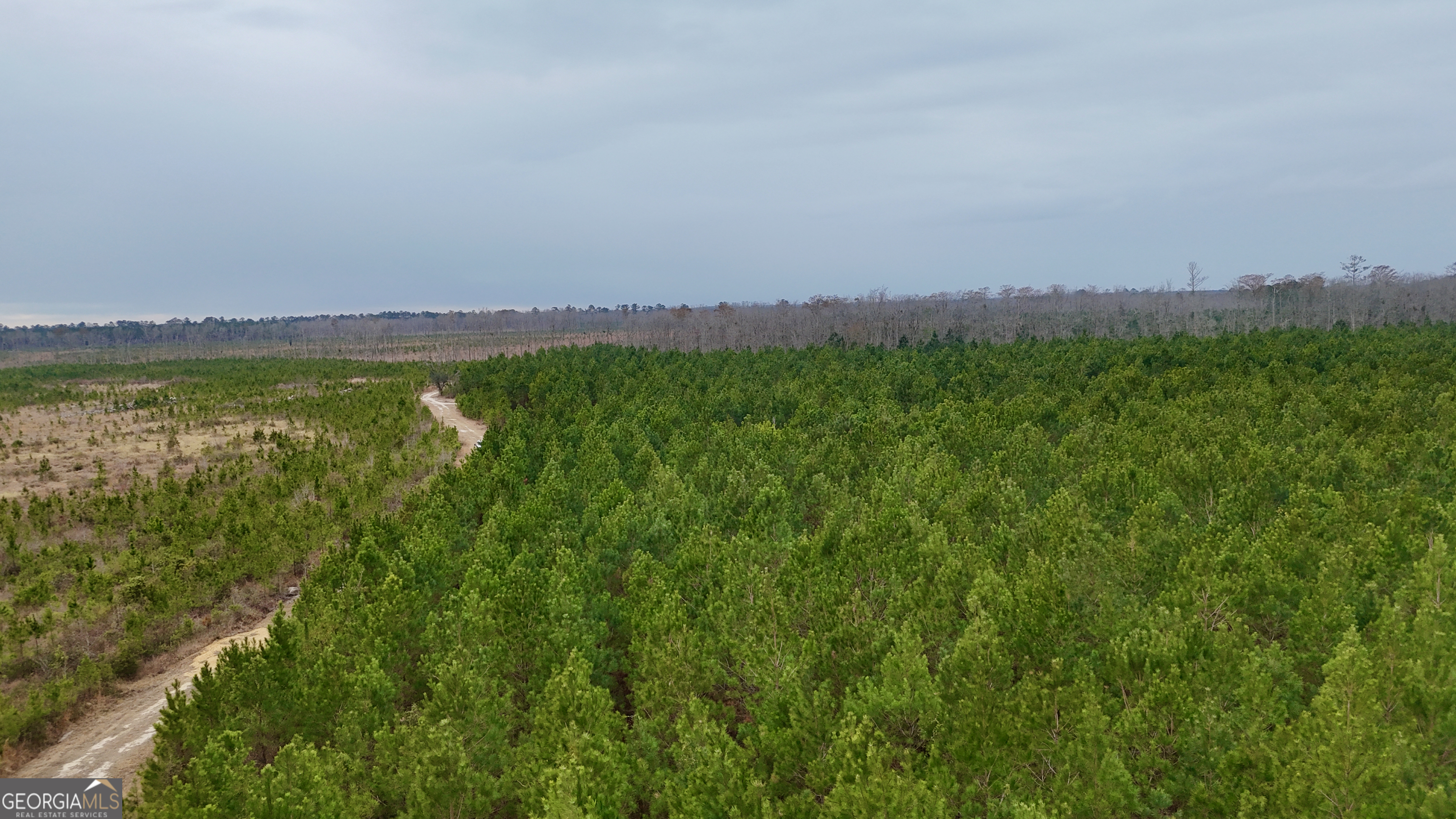 0 Highway 121 Property Photo 8
