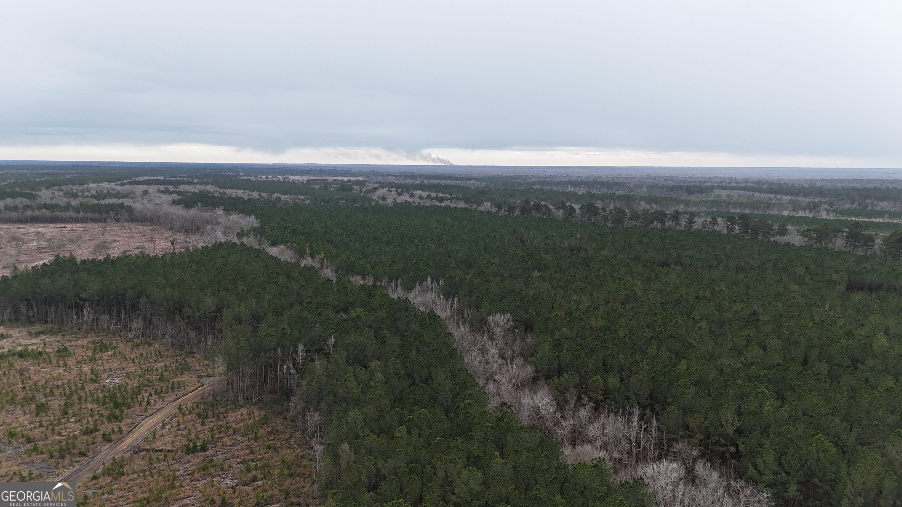 0 Highway 121 Property Photo 11