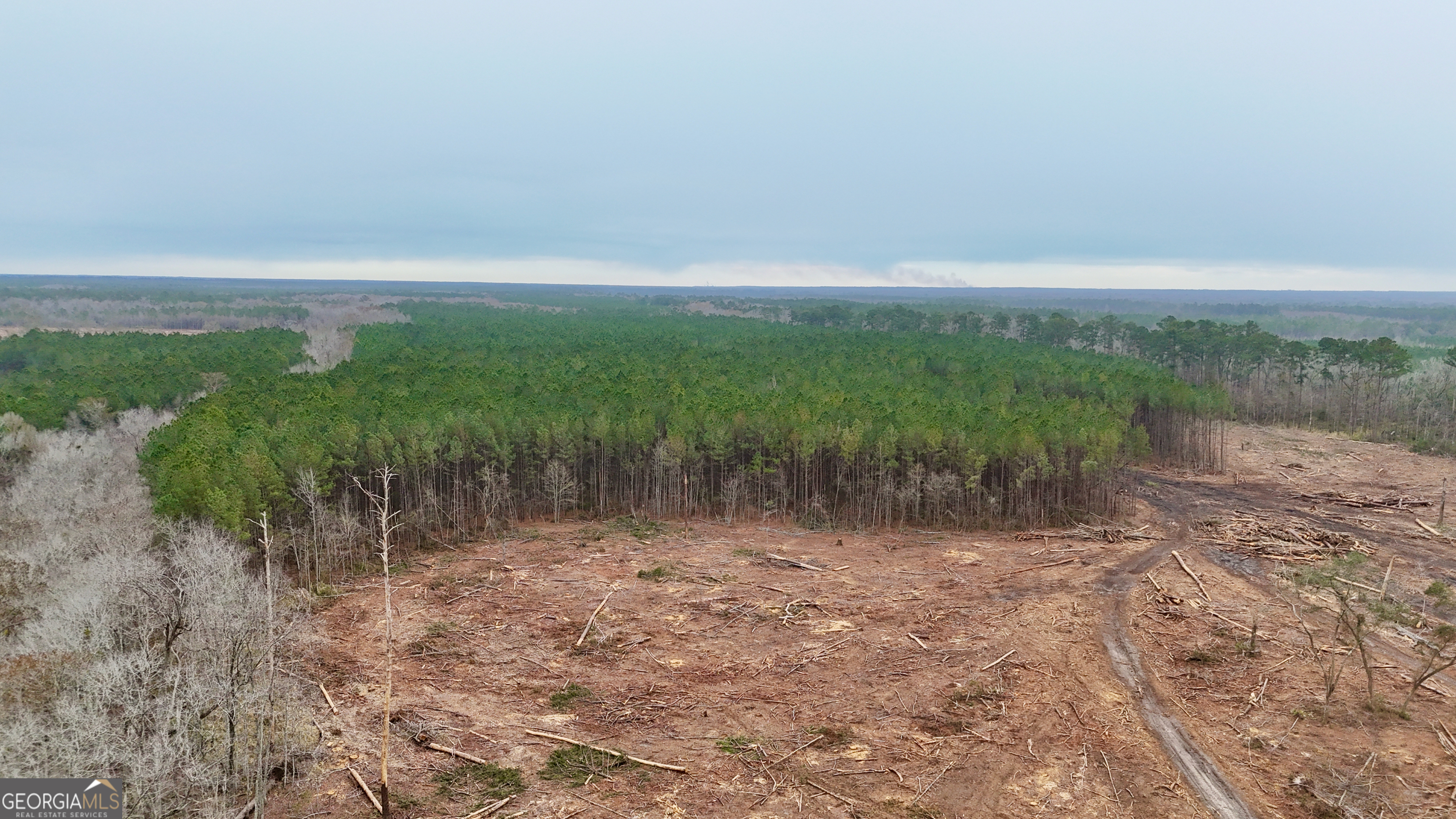 0 Highway 121 Property Photo 13