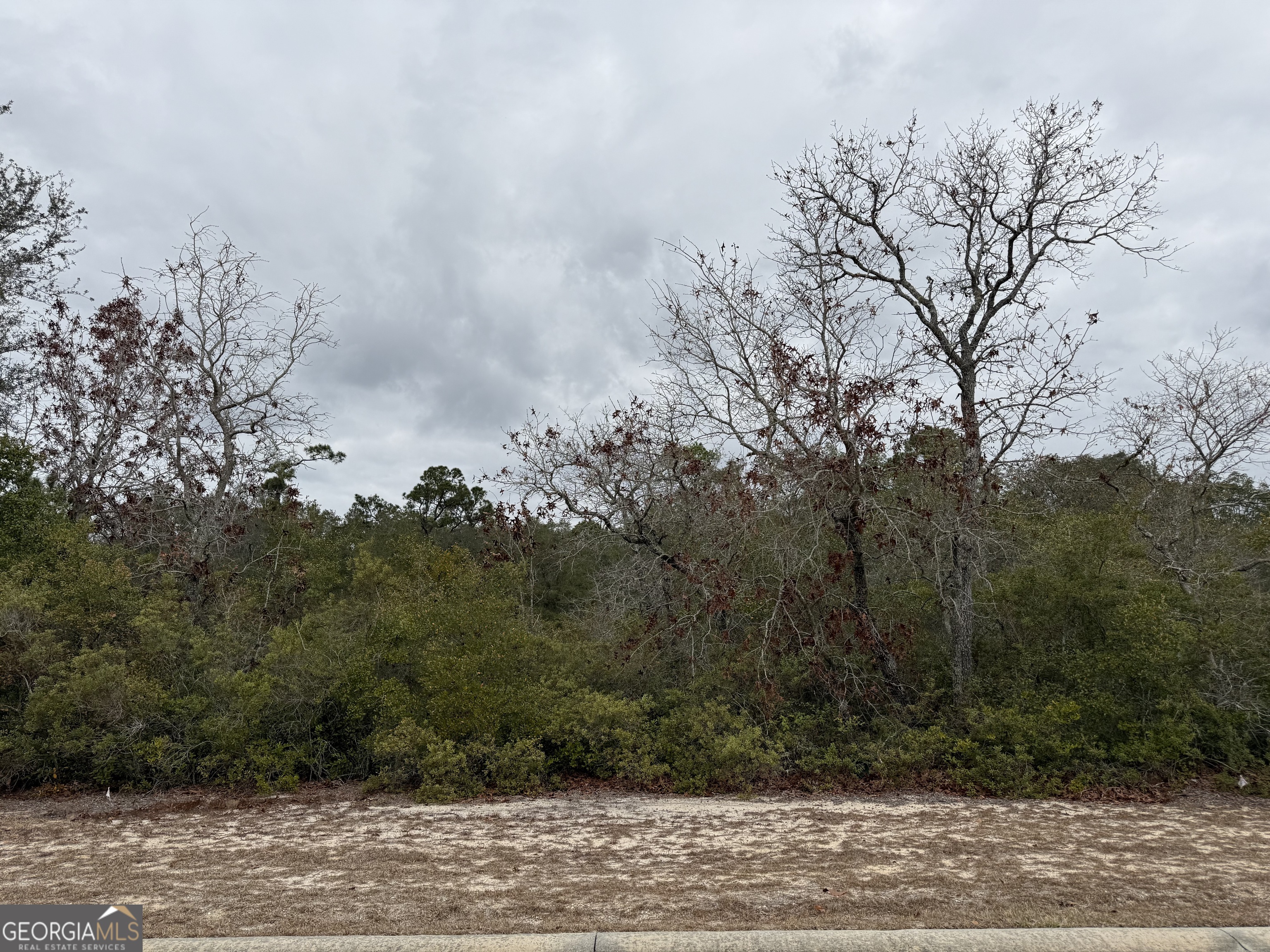 0 Plantation Pines Drive Property Photo 1