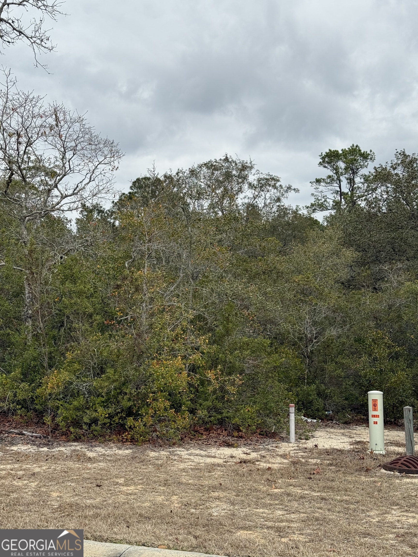 0 Plantation Pines Drive Property Photo 5