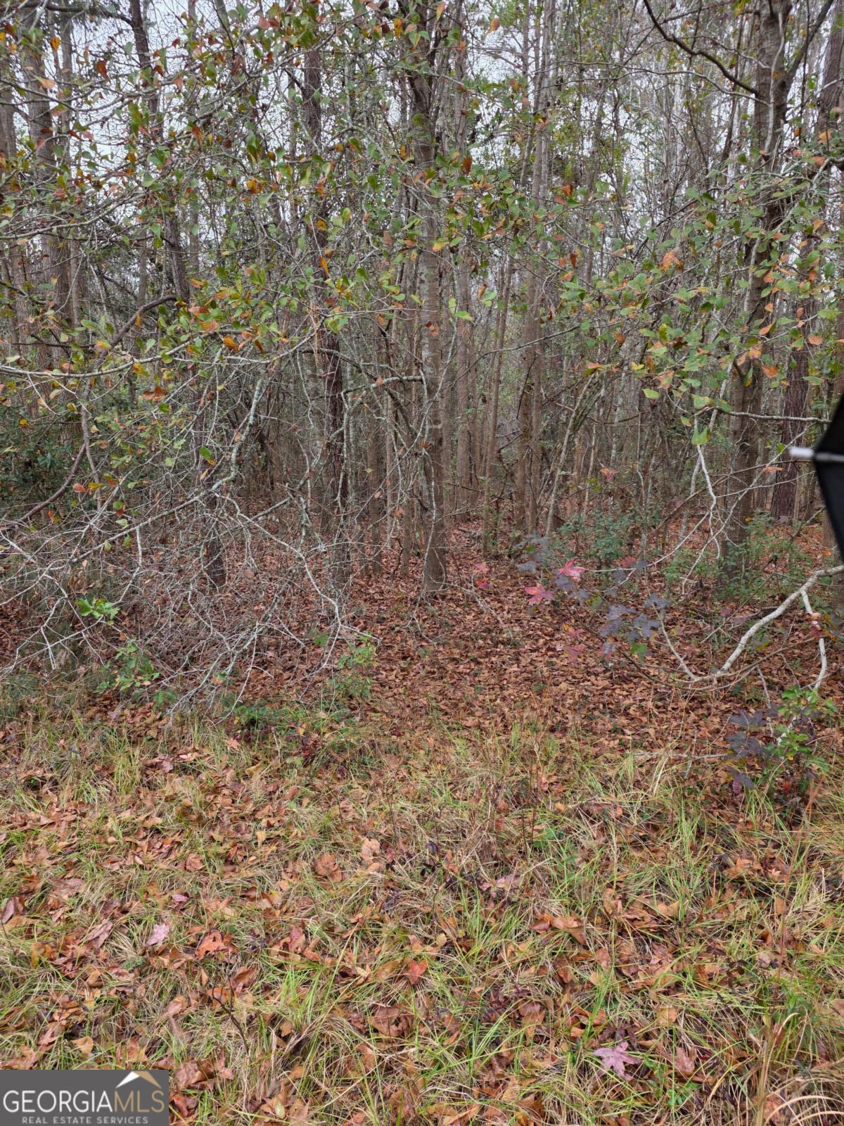 861 Brinson Road Property Photo 2