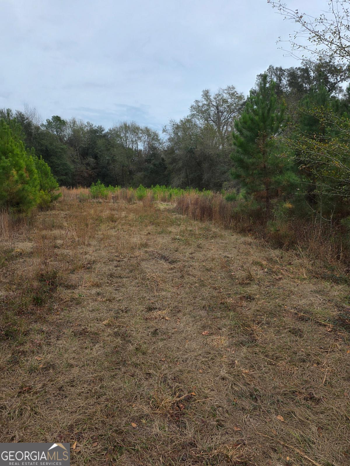 861 Brinson Road Property Photo 3