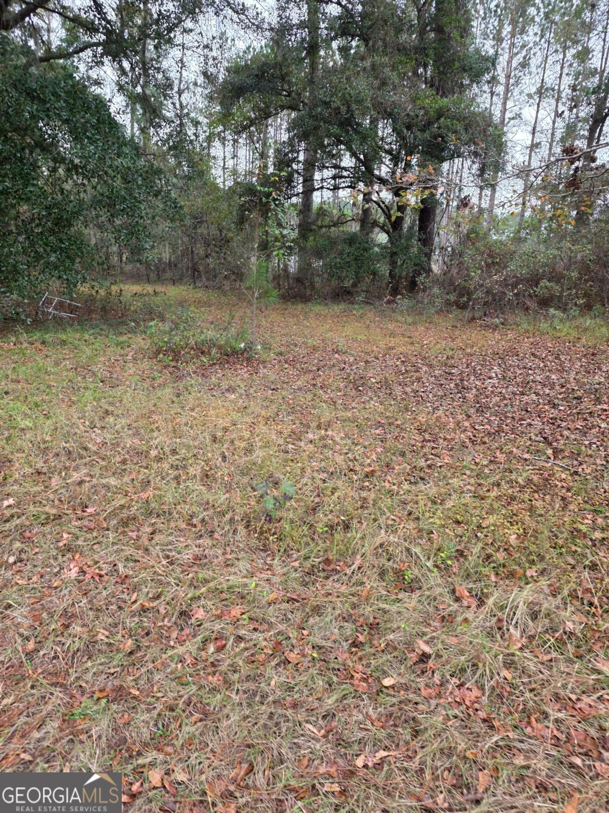 861 Brinson Road Property Photo 5