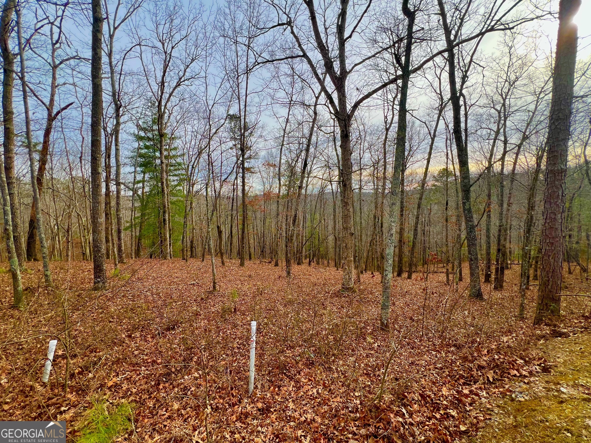 208 Harris Ridge Drive Property Photo 1