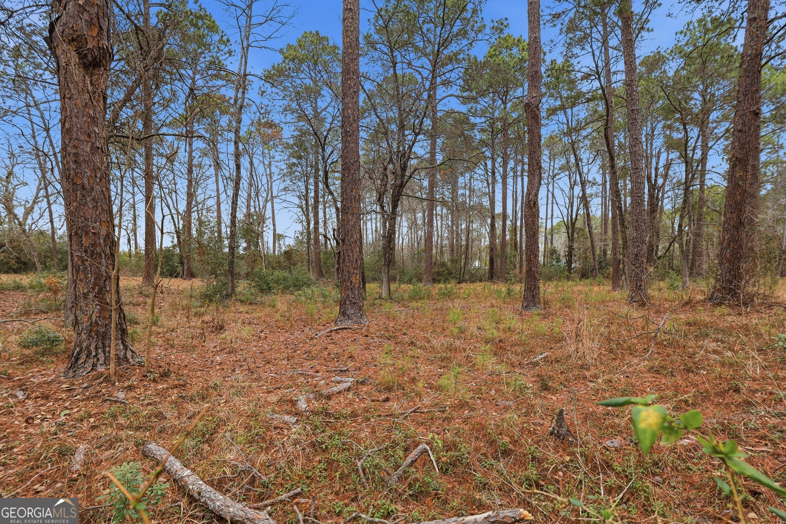 208 Timberline Road Property Photo 47