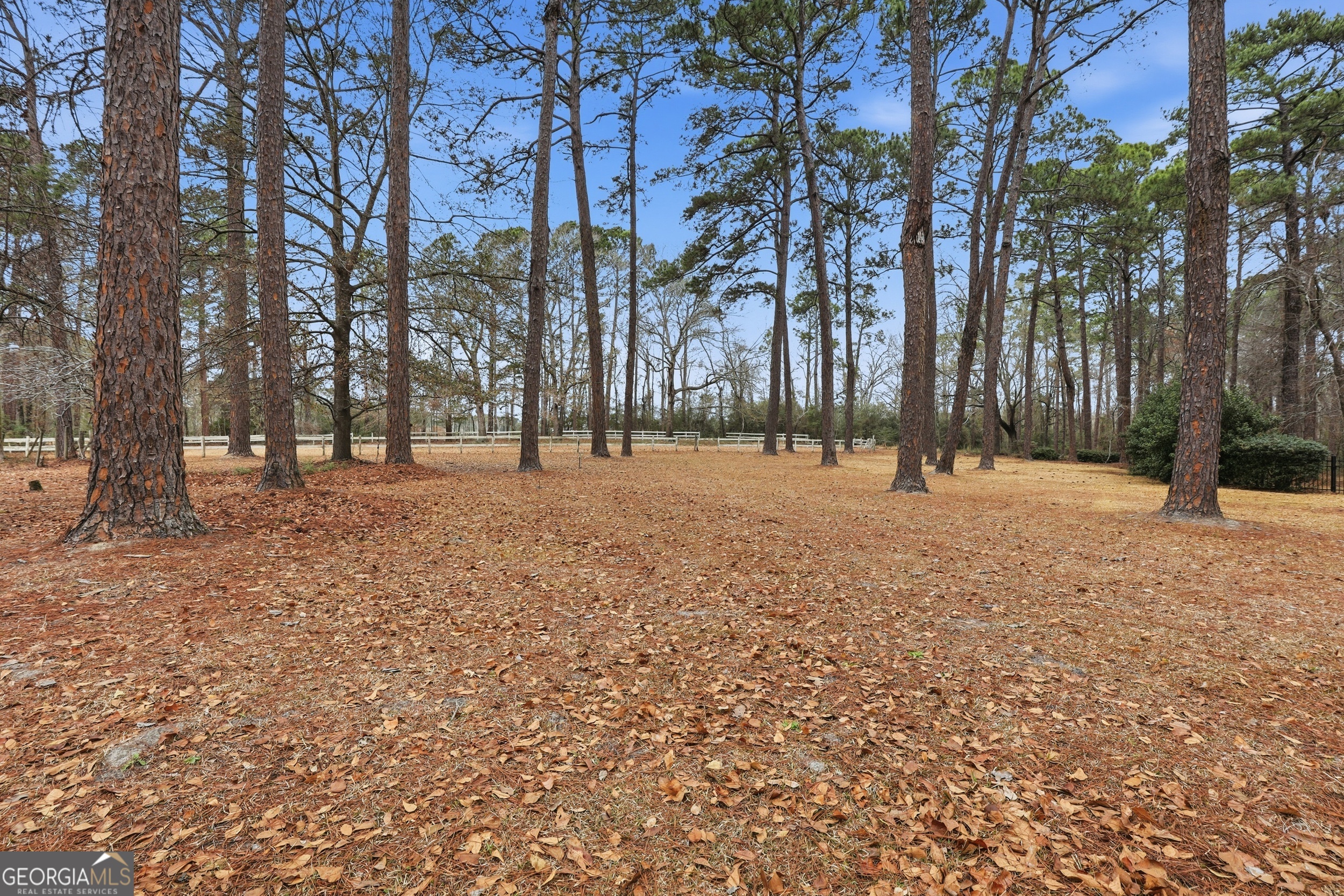 208 Timberline Road Property Photo 52