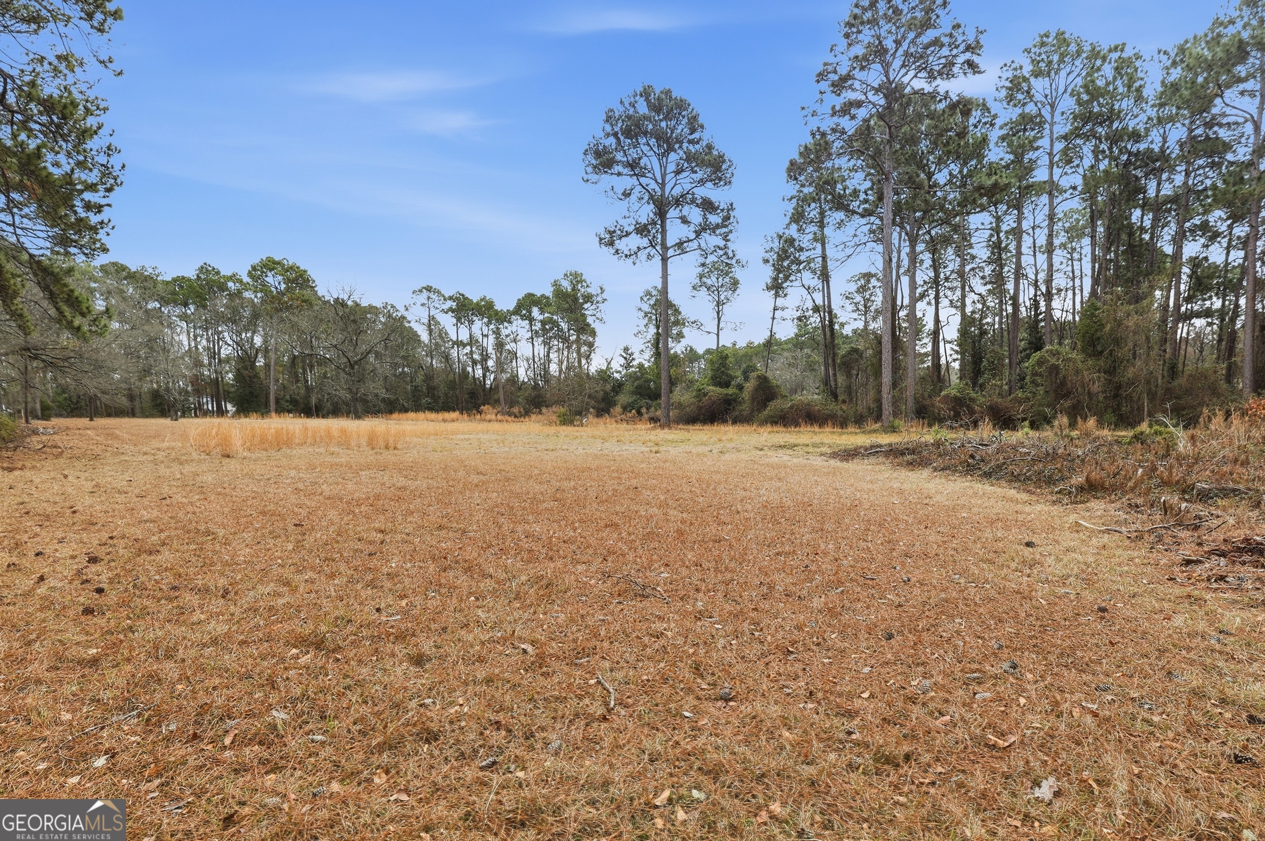 208 Timberline Road Property Photo 54