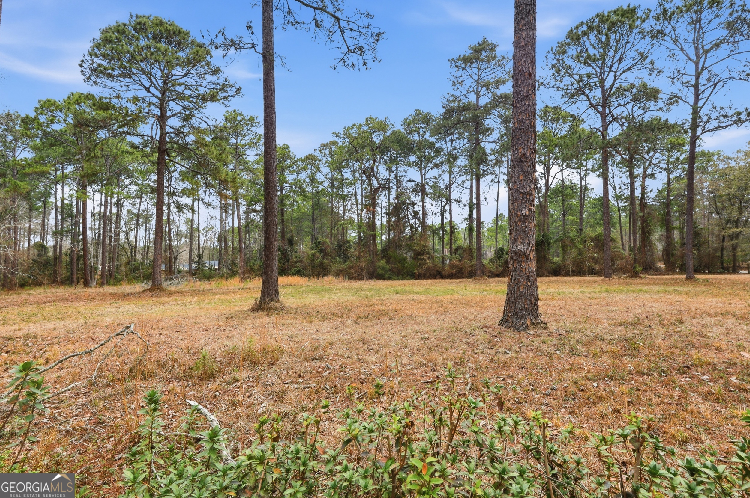 208 Timberline Road Property Photo 60