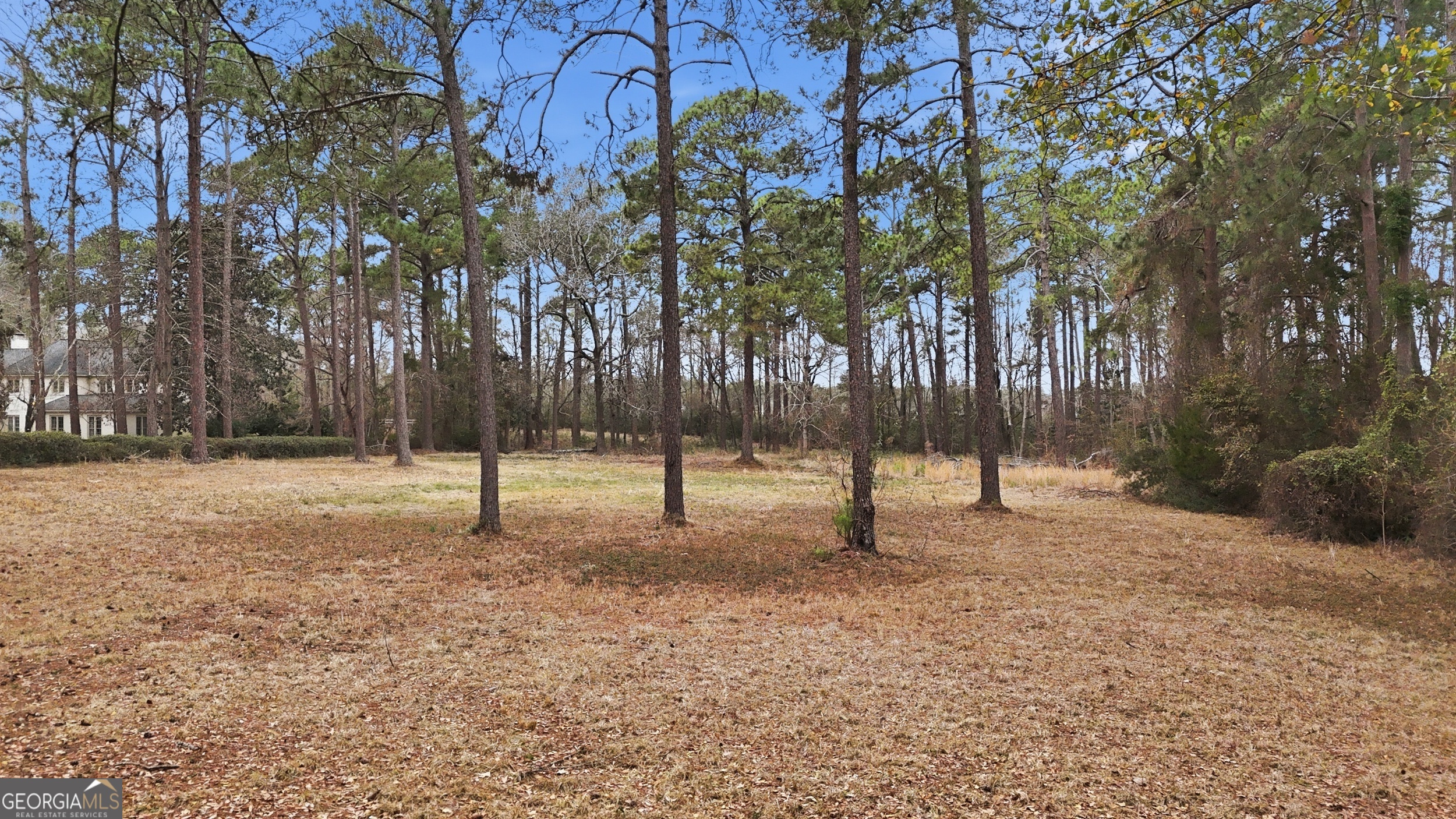 208 Timberline Road Property Photo 61