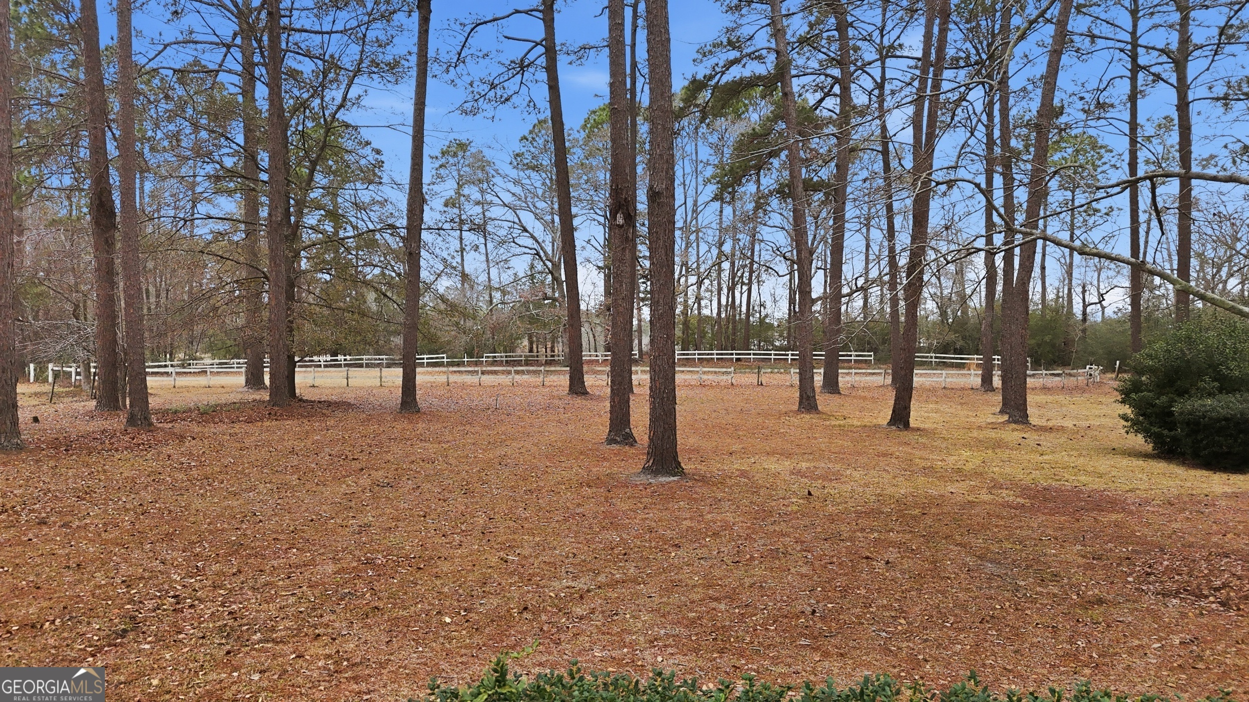 208 Timberline Road Property Photo 64