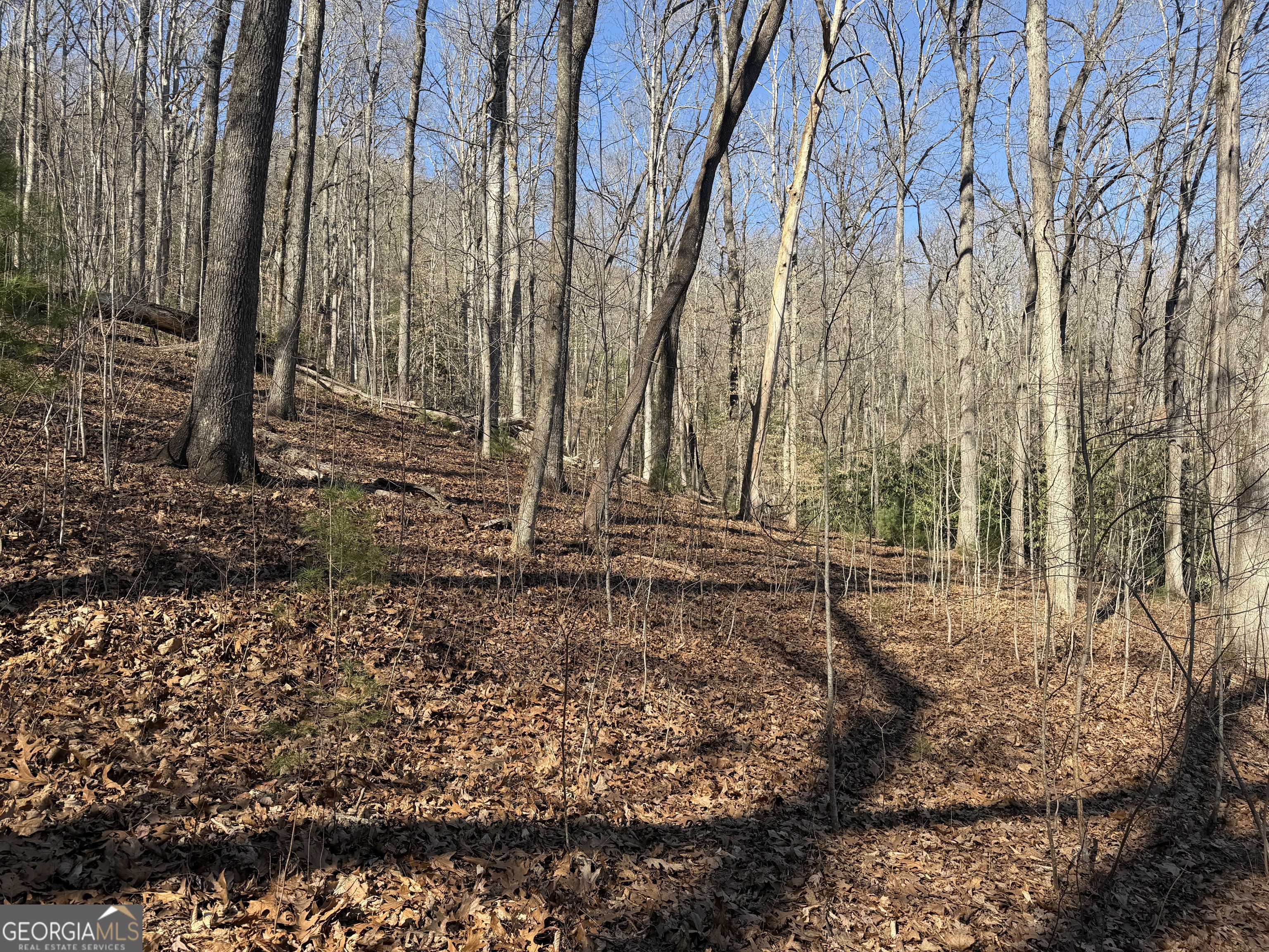 0 Shadow Mountain Drive # 32 Property Photo 12