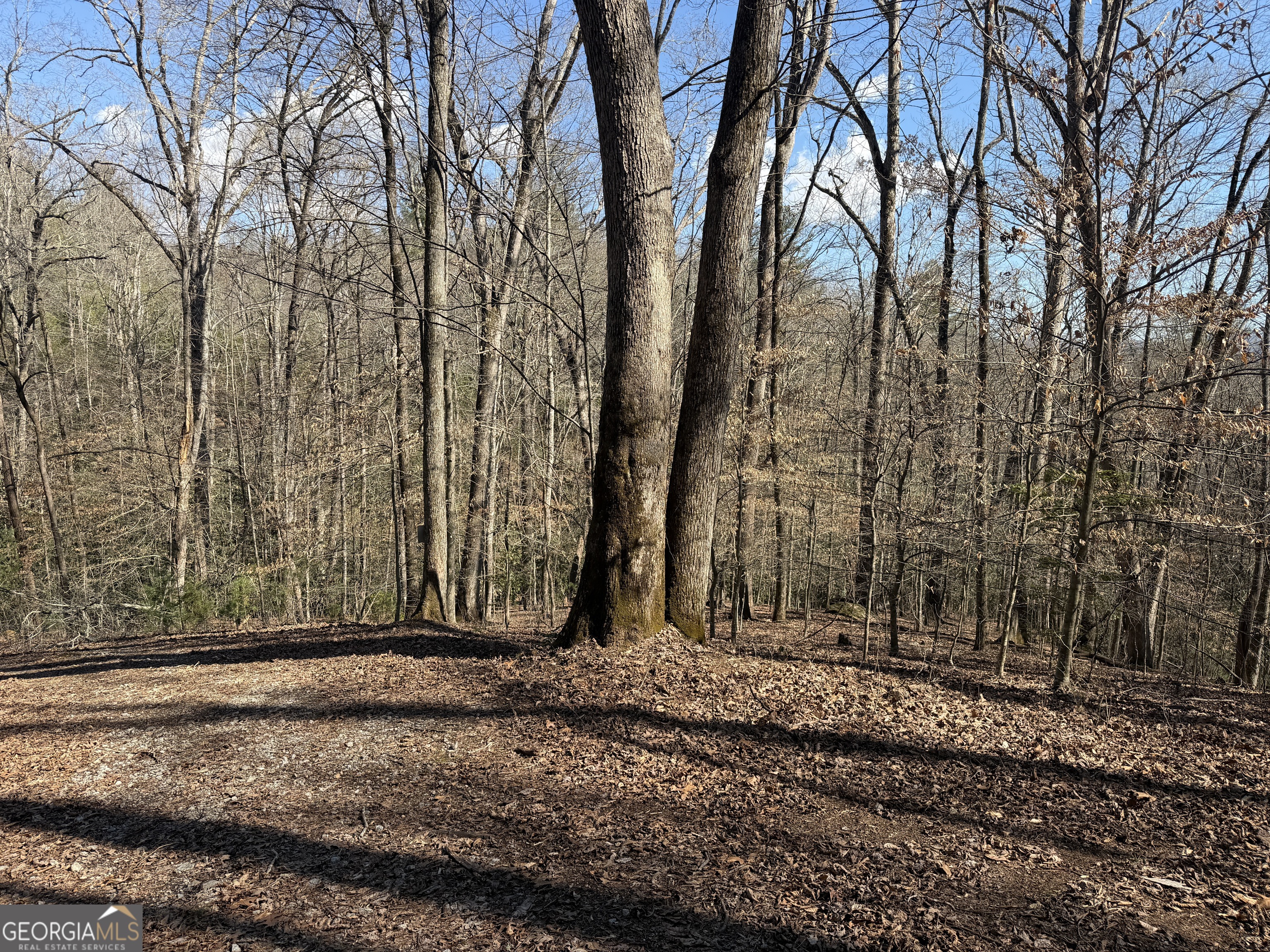 0 Shadow Mountain Drive # 32 Property Photo 13