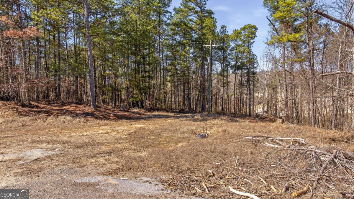 3004 Candler Road Property Photo 30