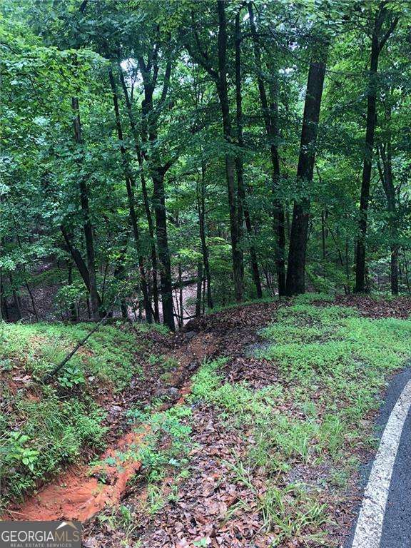 6055 Crested Iris Circle Property Photo 1