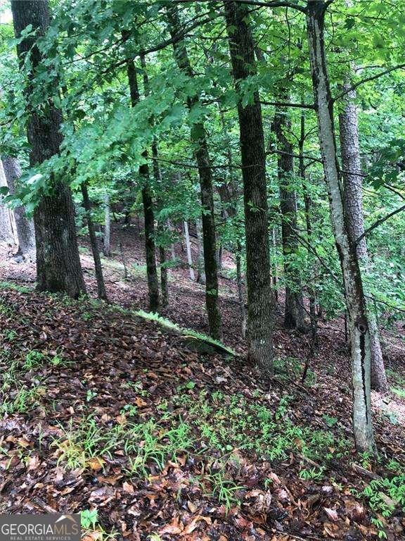 6055 Crested Iris Circle Property Photo 2