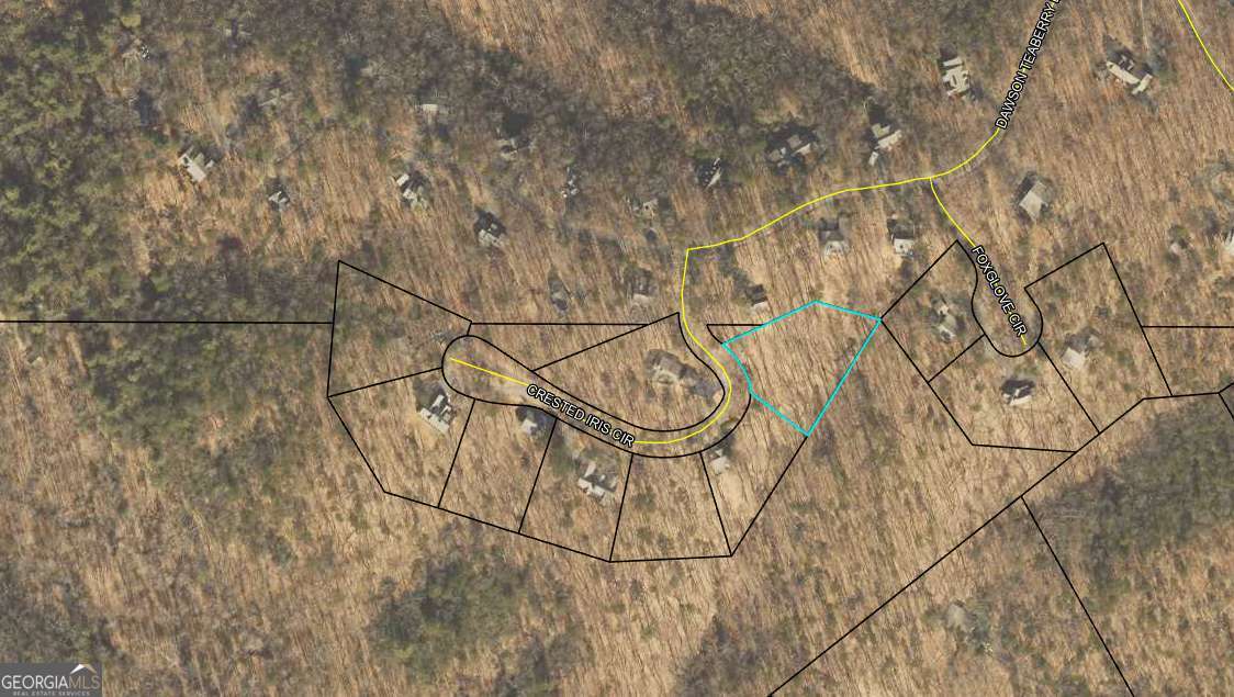 6055 Crested Iris Circle Property Photo 3