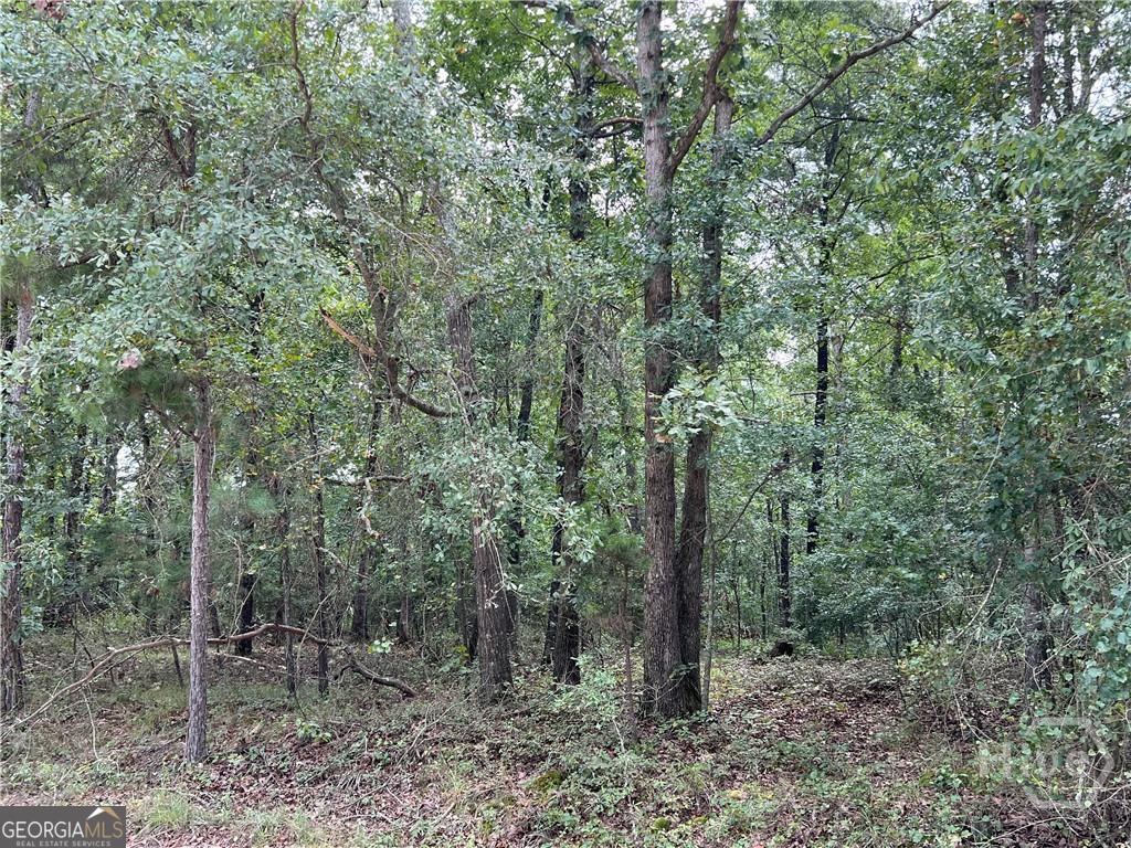 0 Lake Deerfield Road Property Photo 1