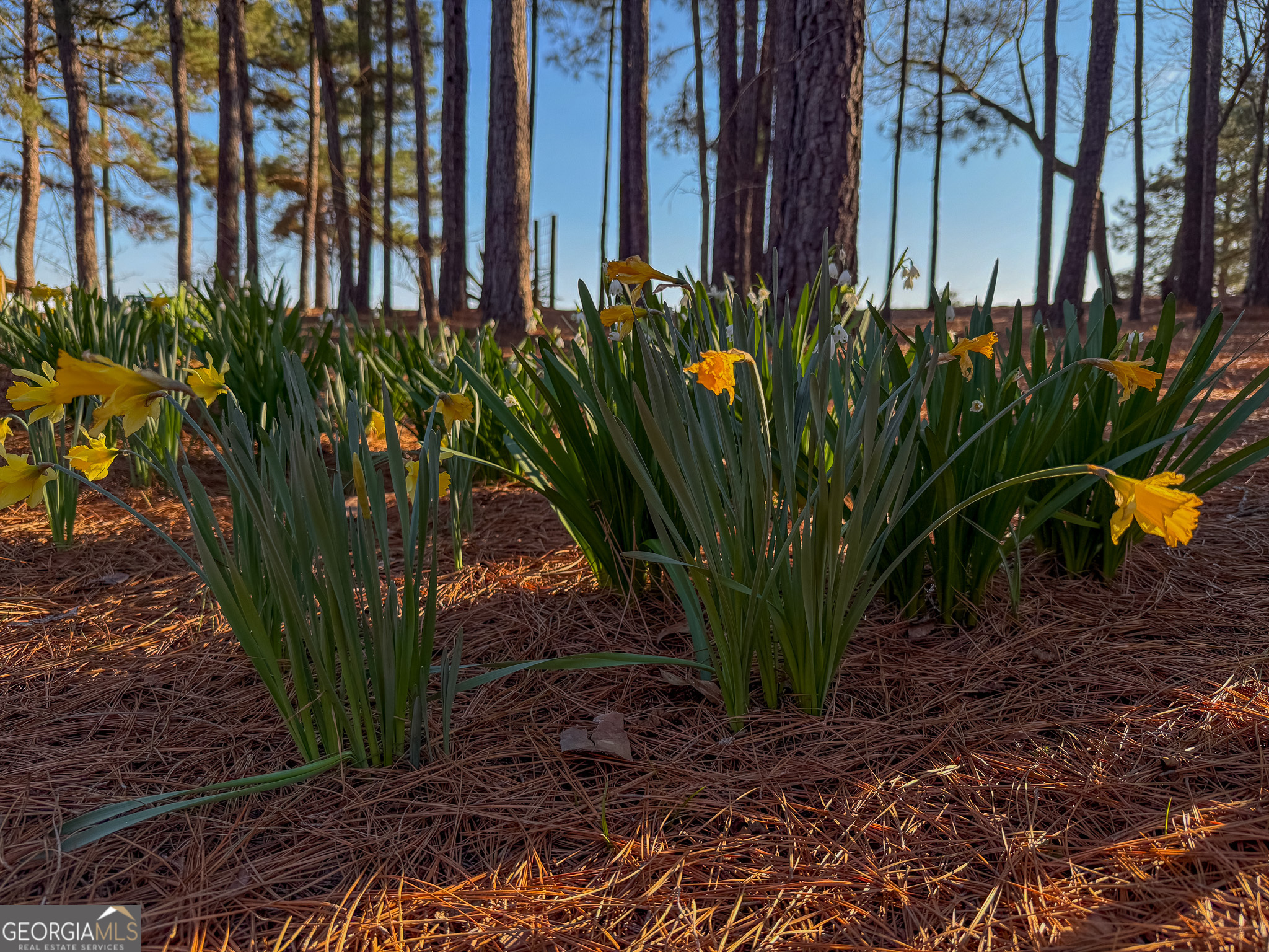 721 Thrasher Road Property Photo 24