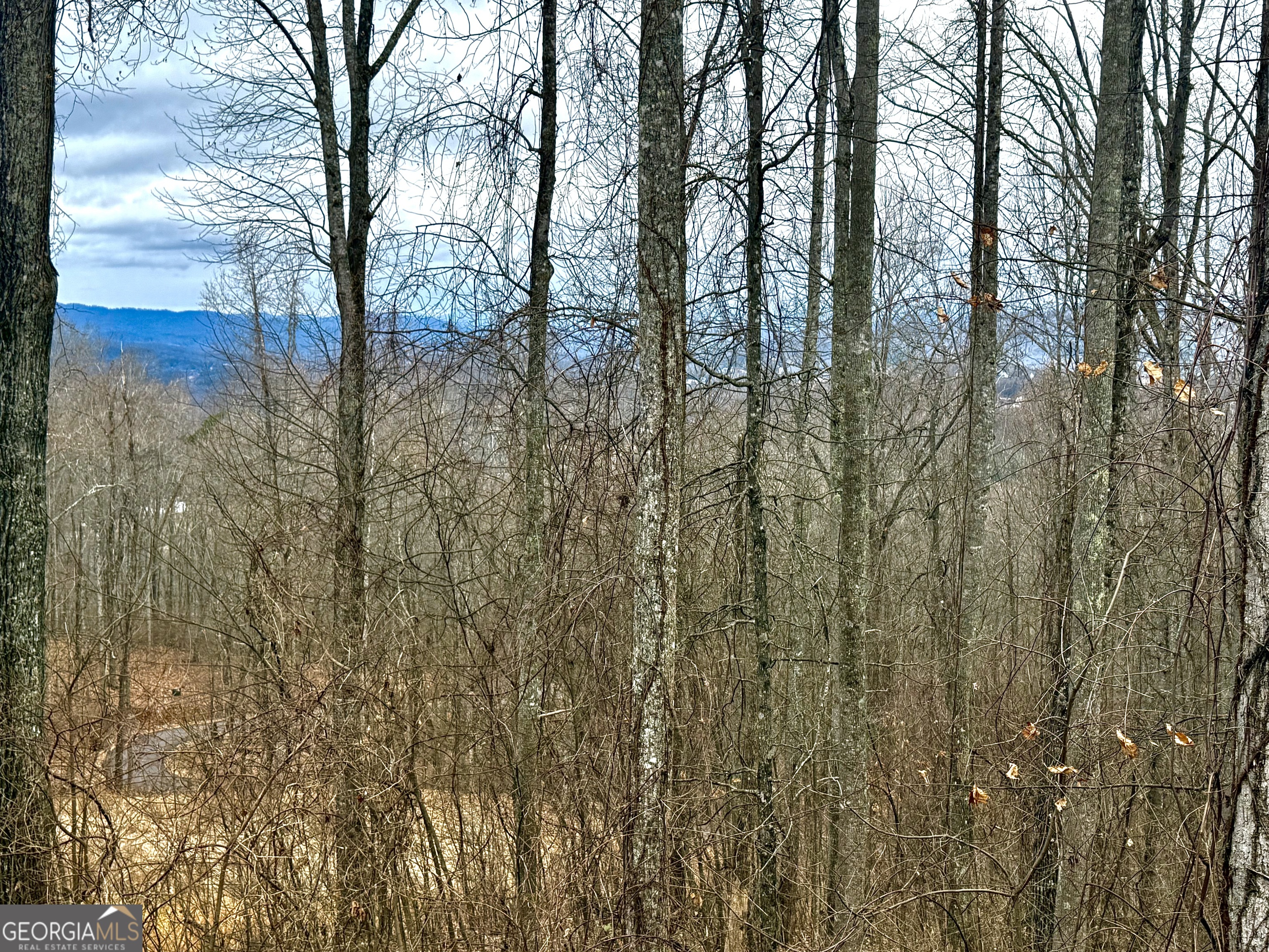 LOT 7 Rocky Knob Drive # 7