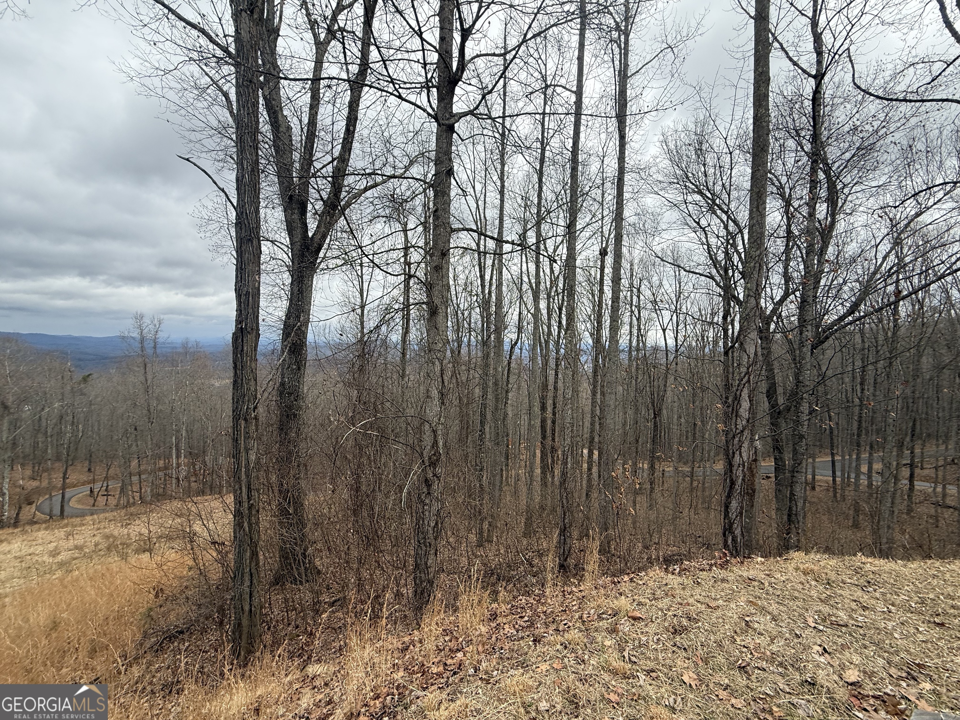 Lot 7 Rocky Knob Drive # 7 Property Photo 3