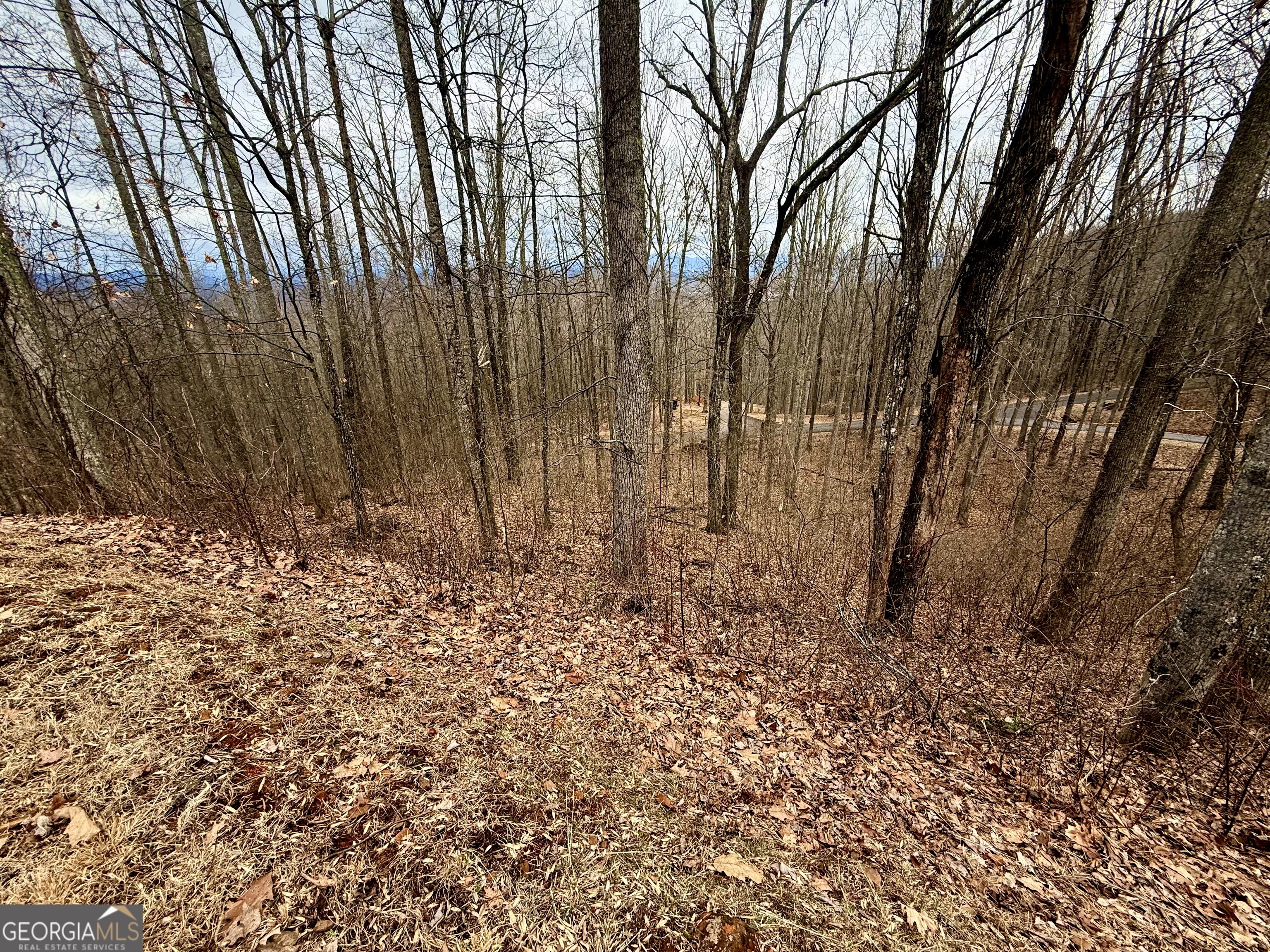 Lot 7 Rocky Knob Drive # 7 Property Photo 4