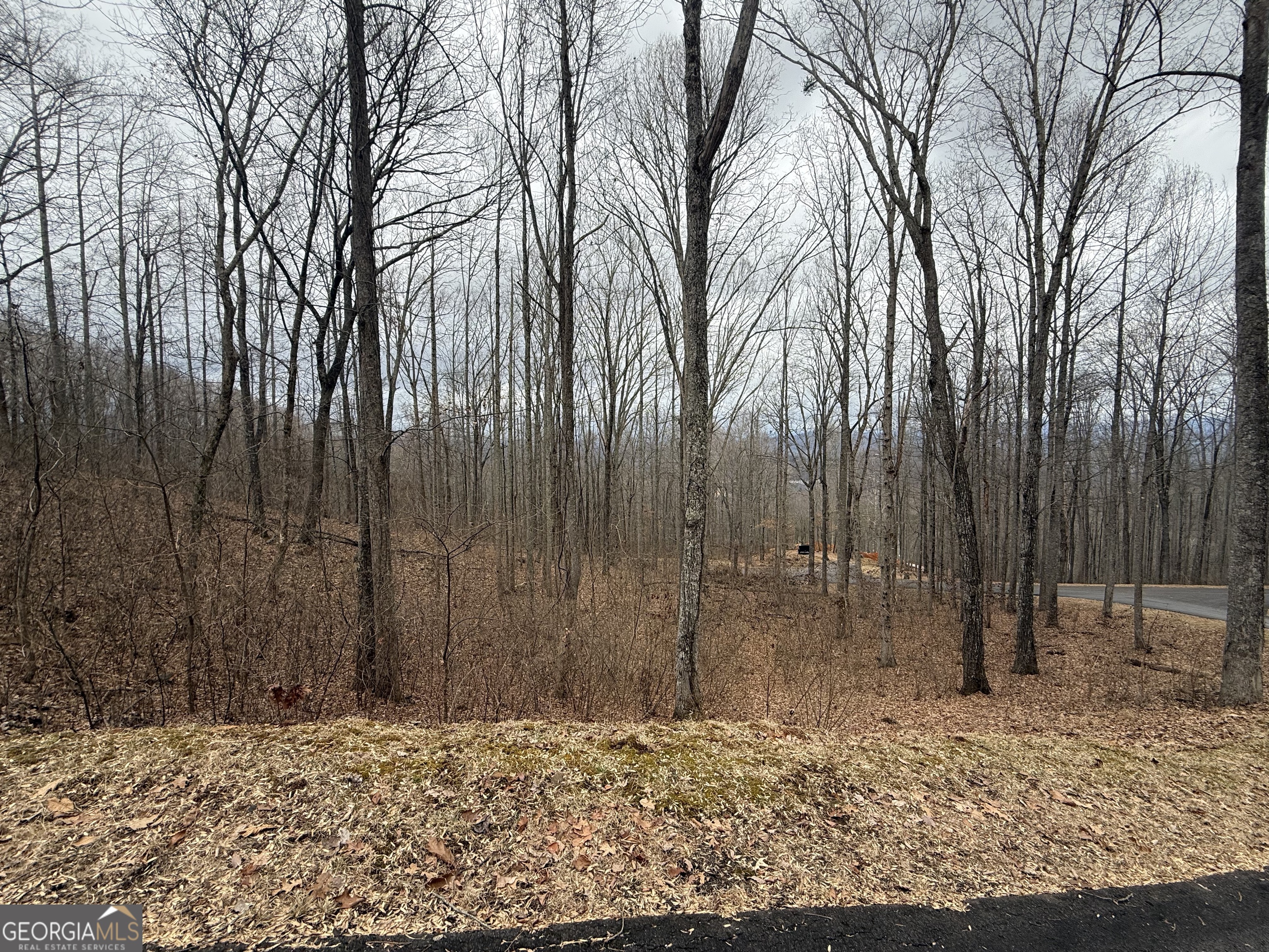 Lot 7 Rocky Knob Drive # 7 Property Photo 5