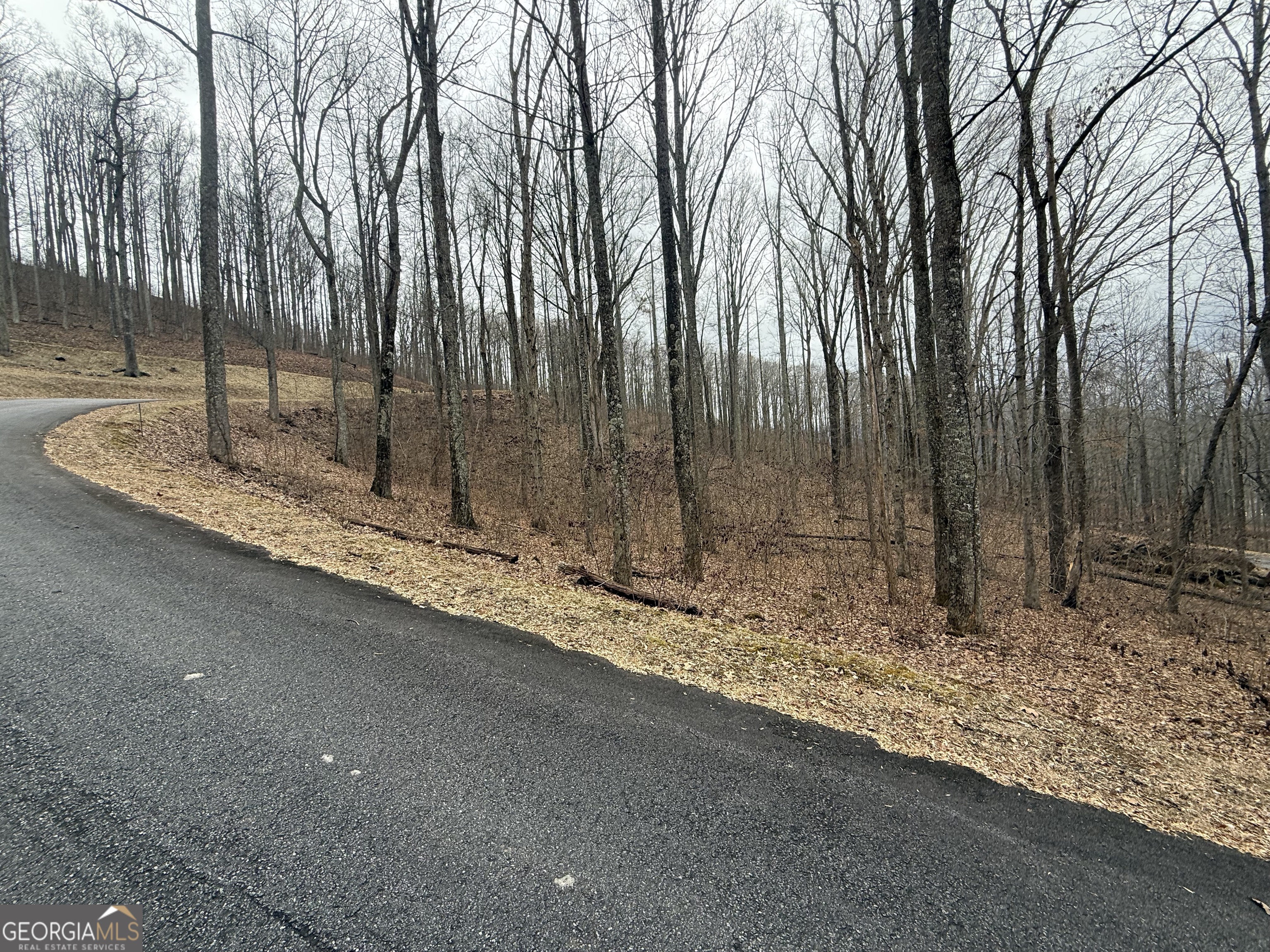 Lot 7 Rocky Knob Drive # 7 Property Photo 6