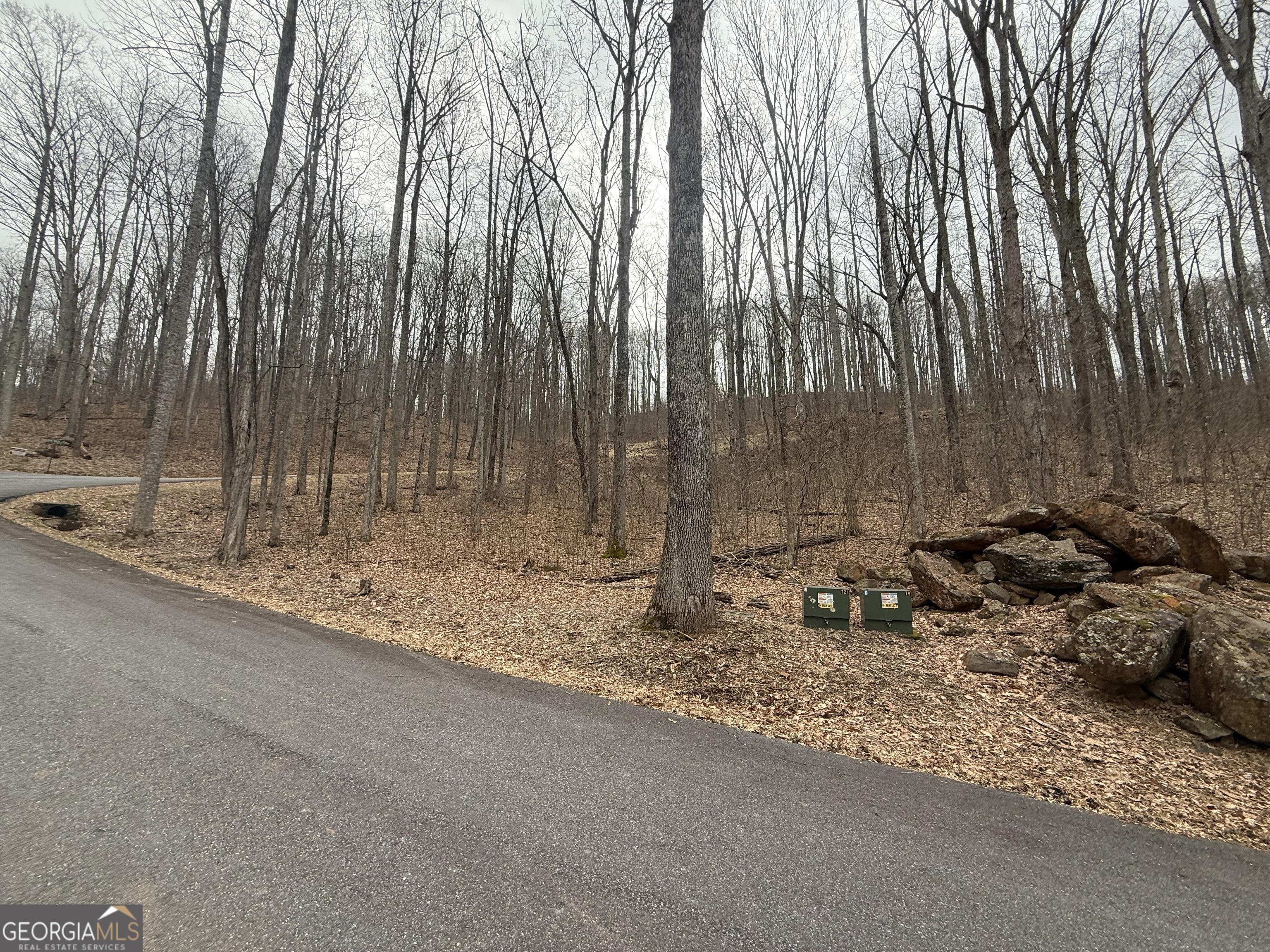 Lot 7 Rocky Knob Drive # 7 Property Photo 8