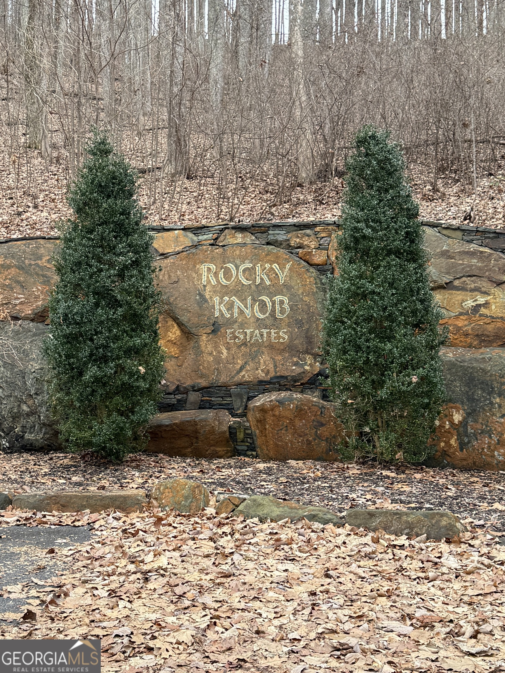 Lot 7 Rocky Knob Drive # 7 Property Photo 18