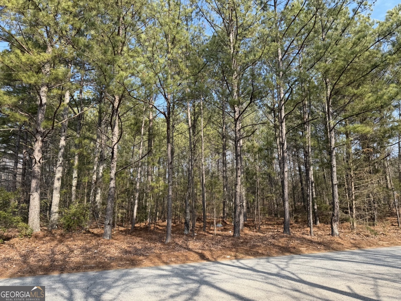 0 Carnes Drive Property Photo 1