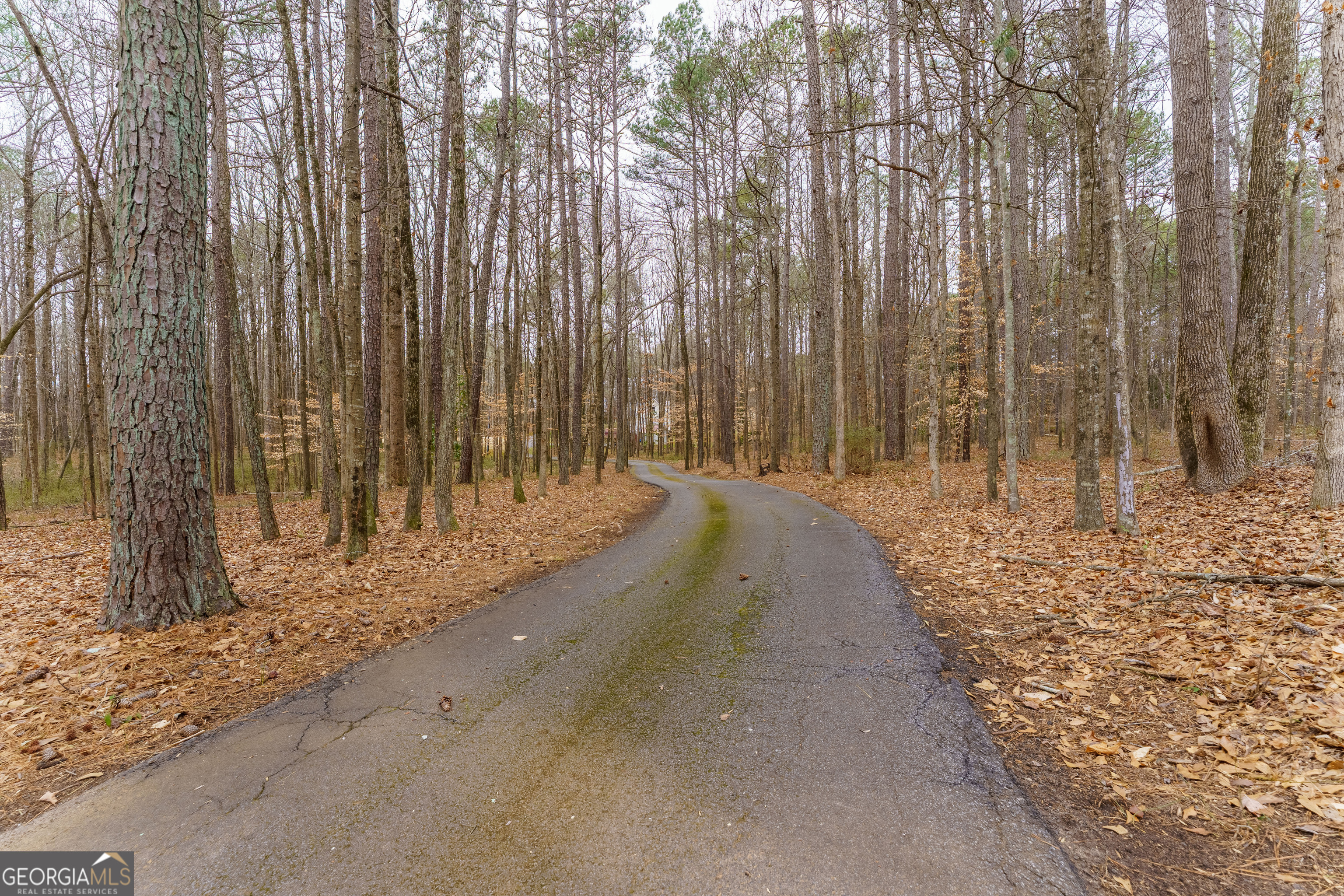 4505 Brookwood Drive Property Photo 44