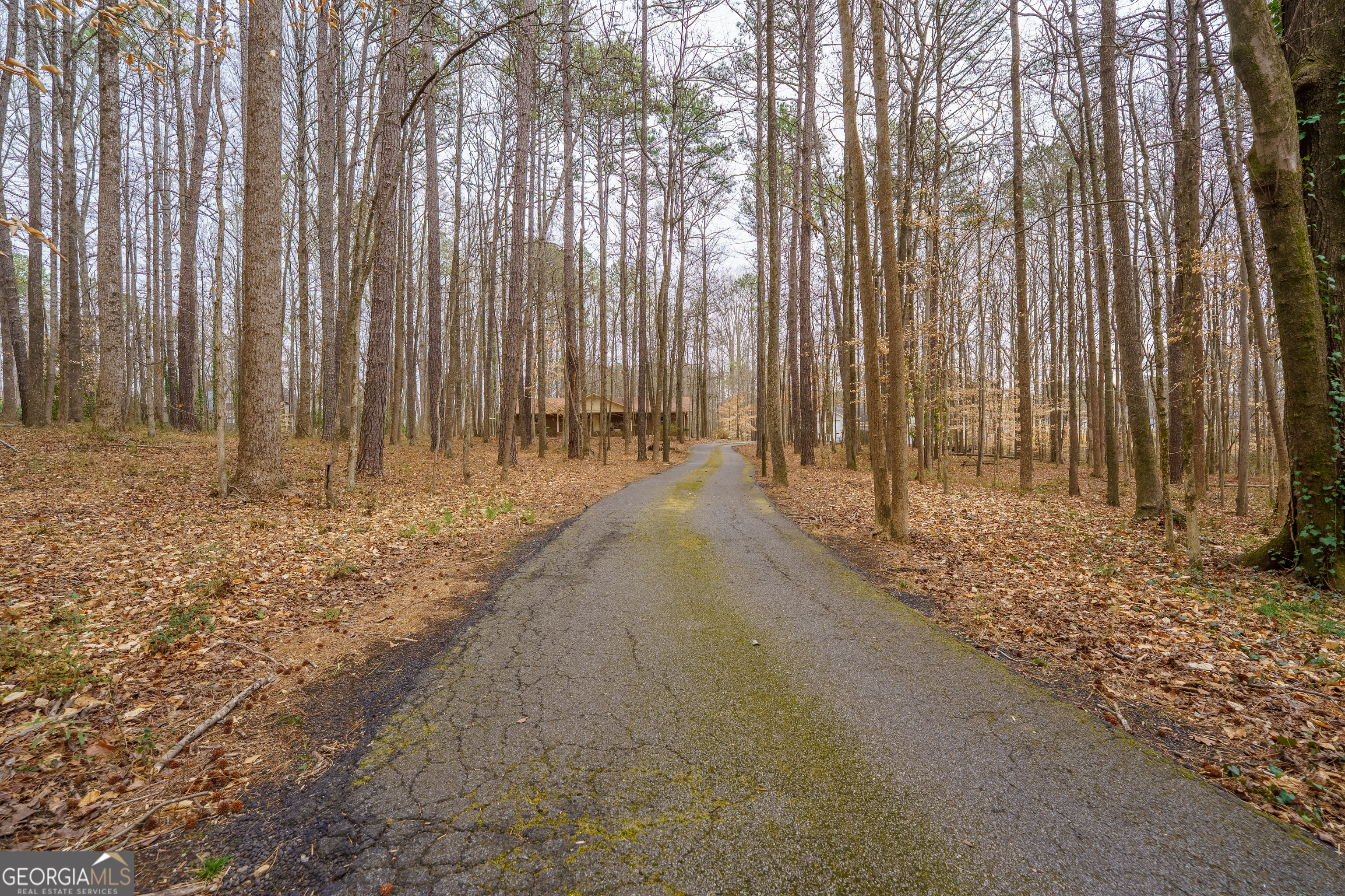 4505 Brookwood Drive Property Photo 45