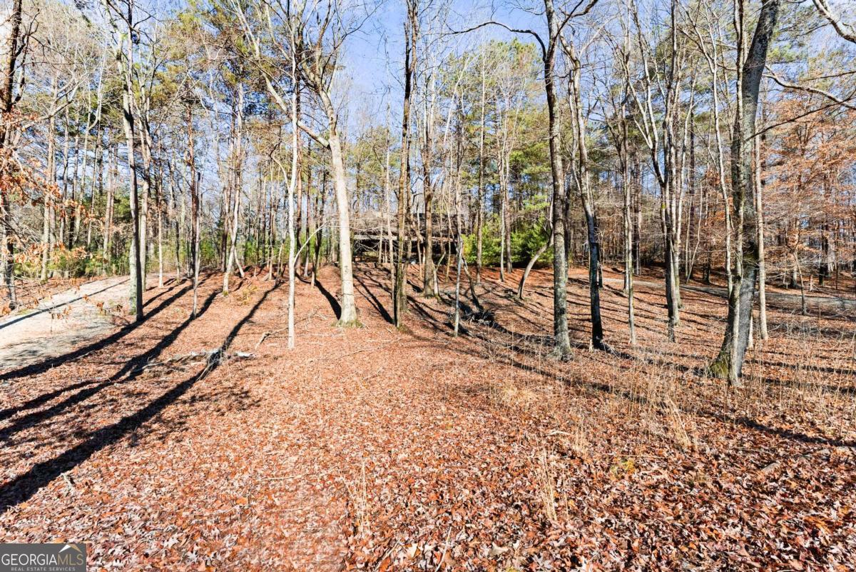 3533 Keith Bridge Road Property Photo 11