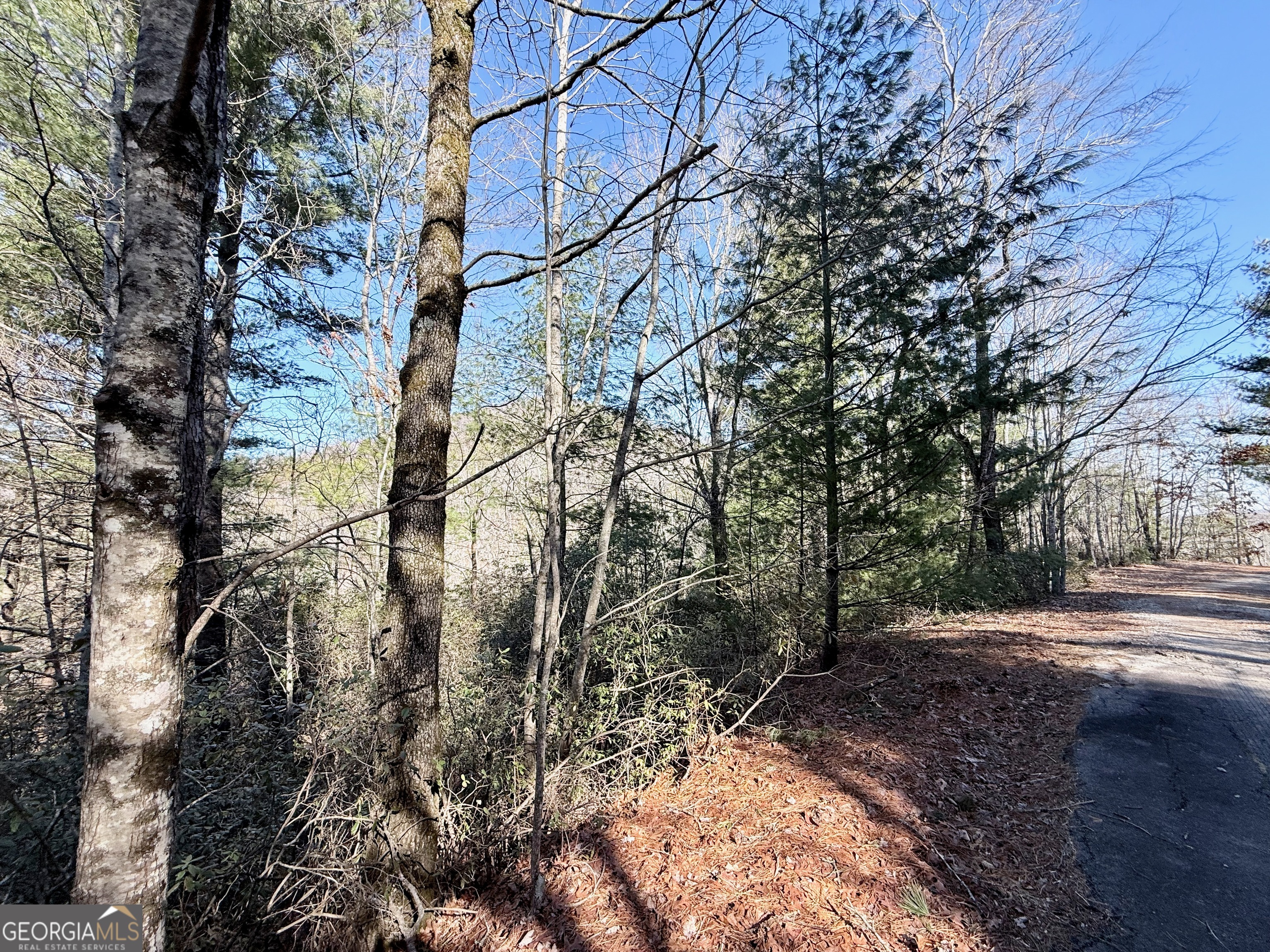 0 Rabun Bluffs Drive Property Photo 1